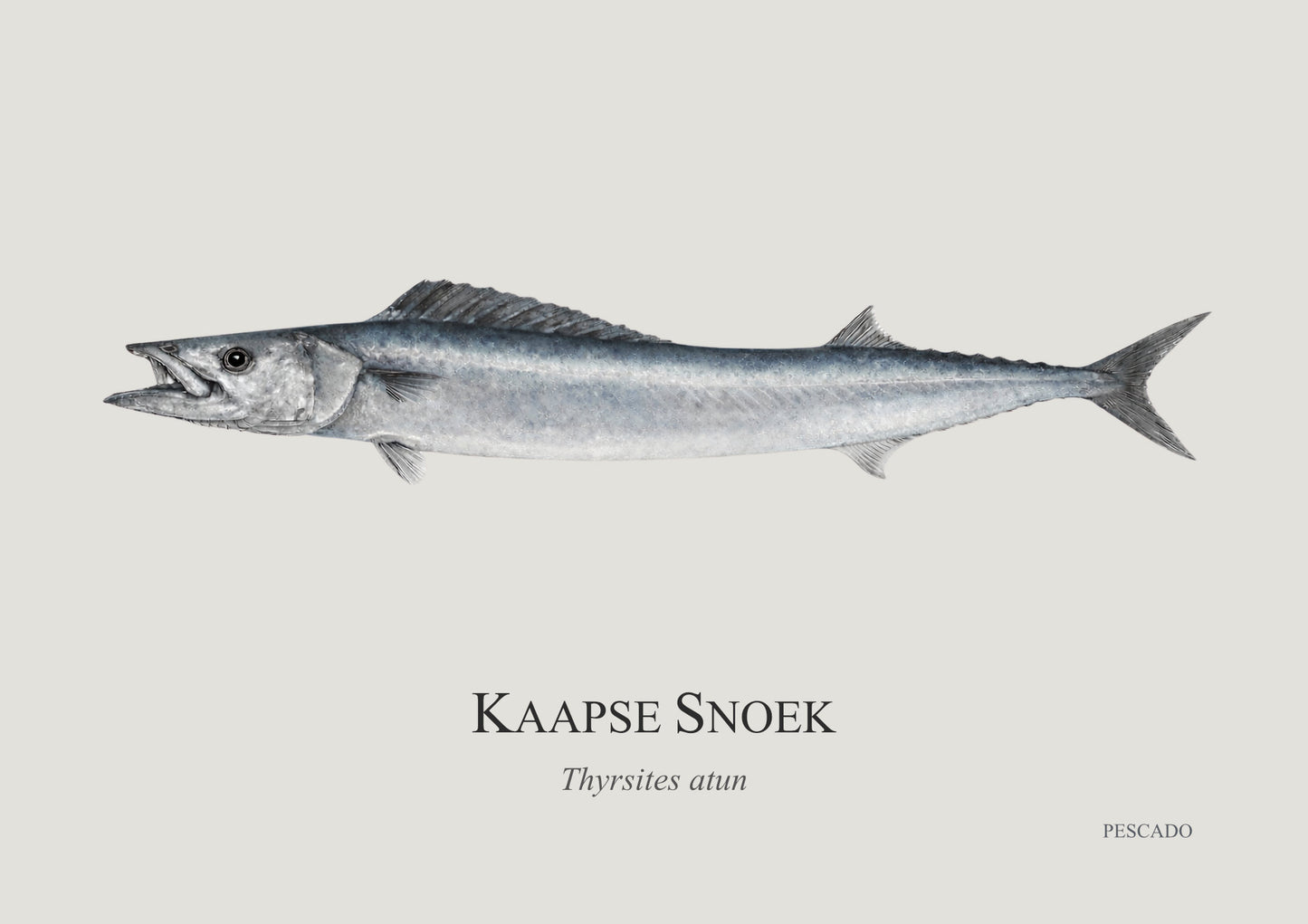 Cape Snoek
