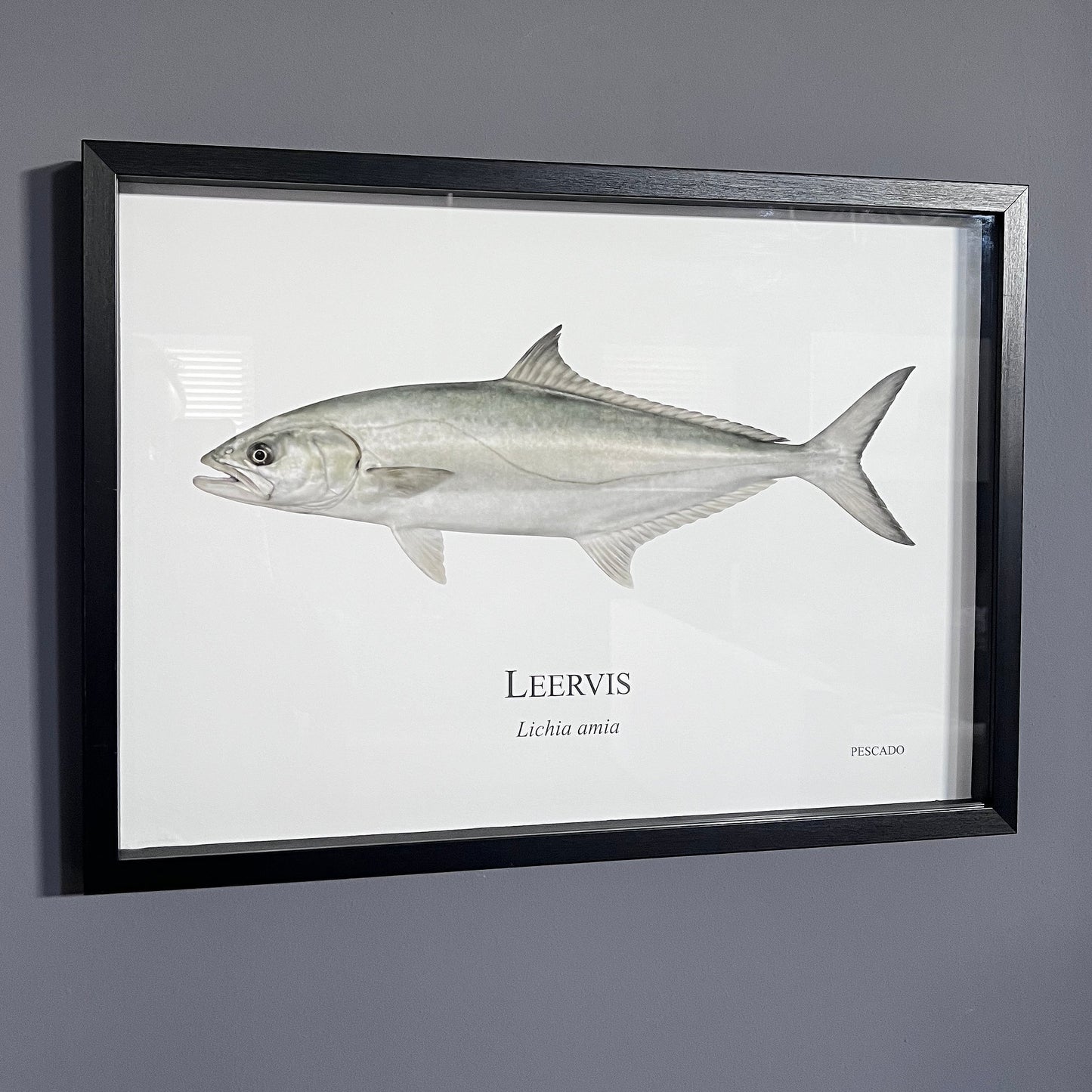 Leervis - A2 Framed Print