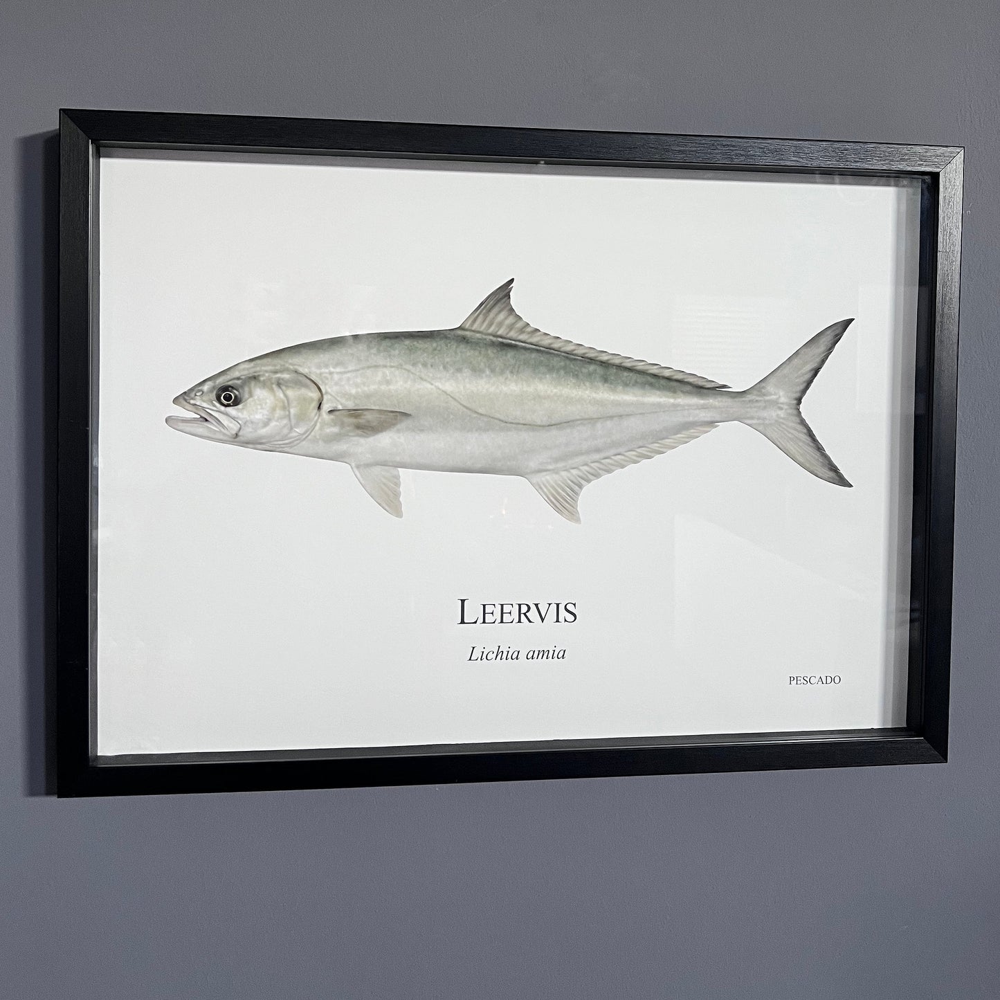 Leervis - A2 Framed Print