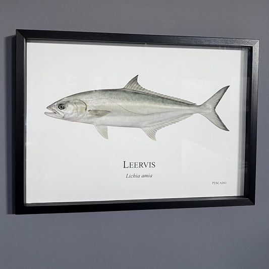 Leervis - A2 Framed Print