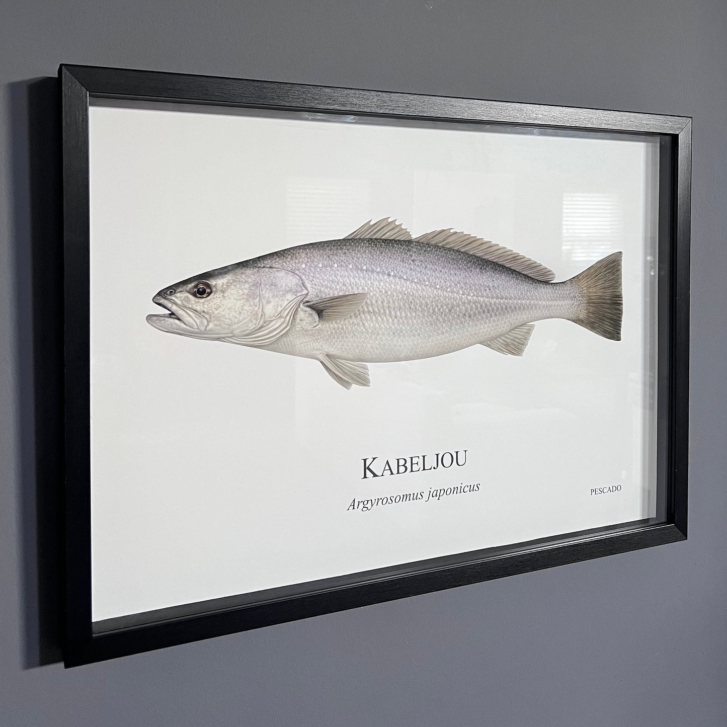 Kabeljou - A2 Framed Print