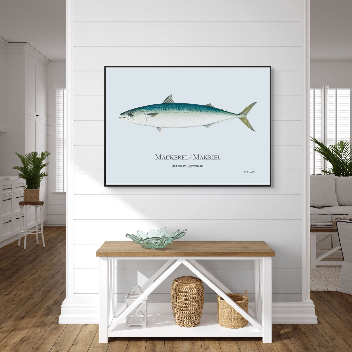 Mackerel / Makriel