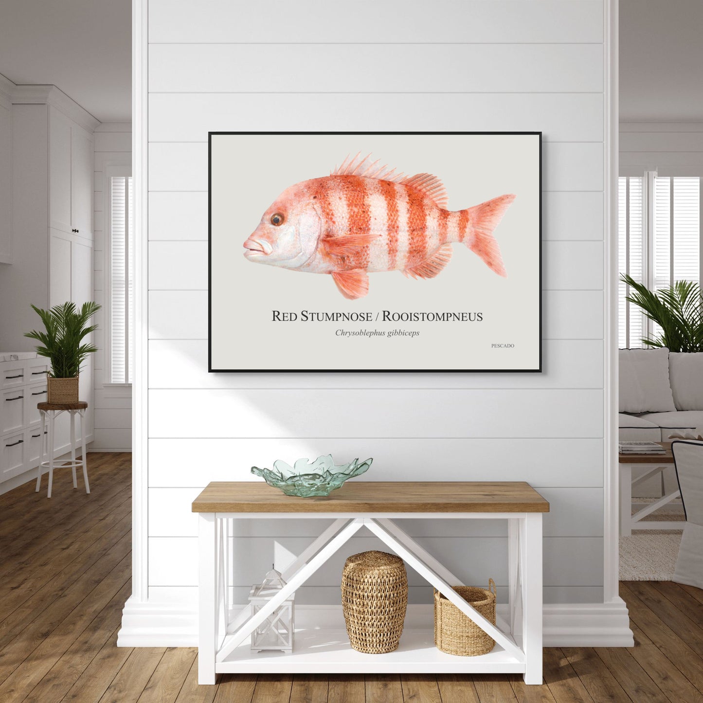 Red Stumpnose