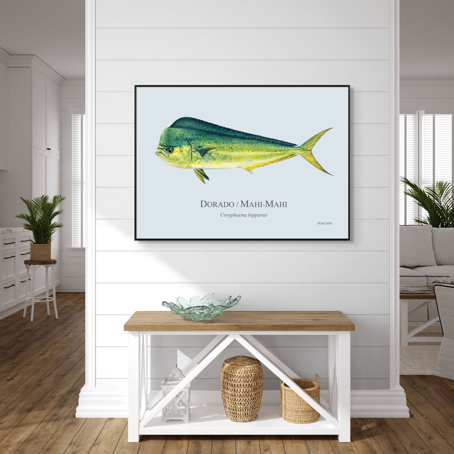 Dorado