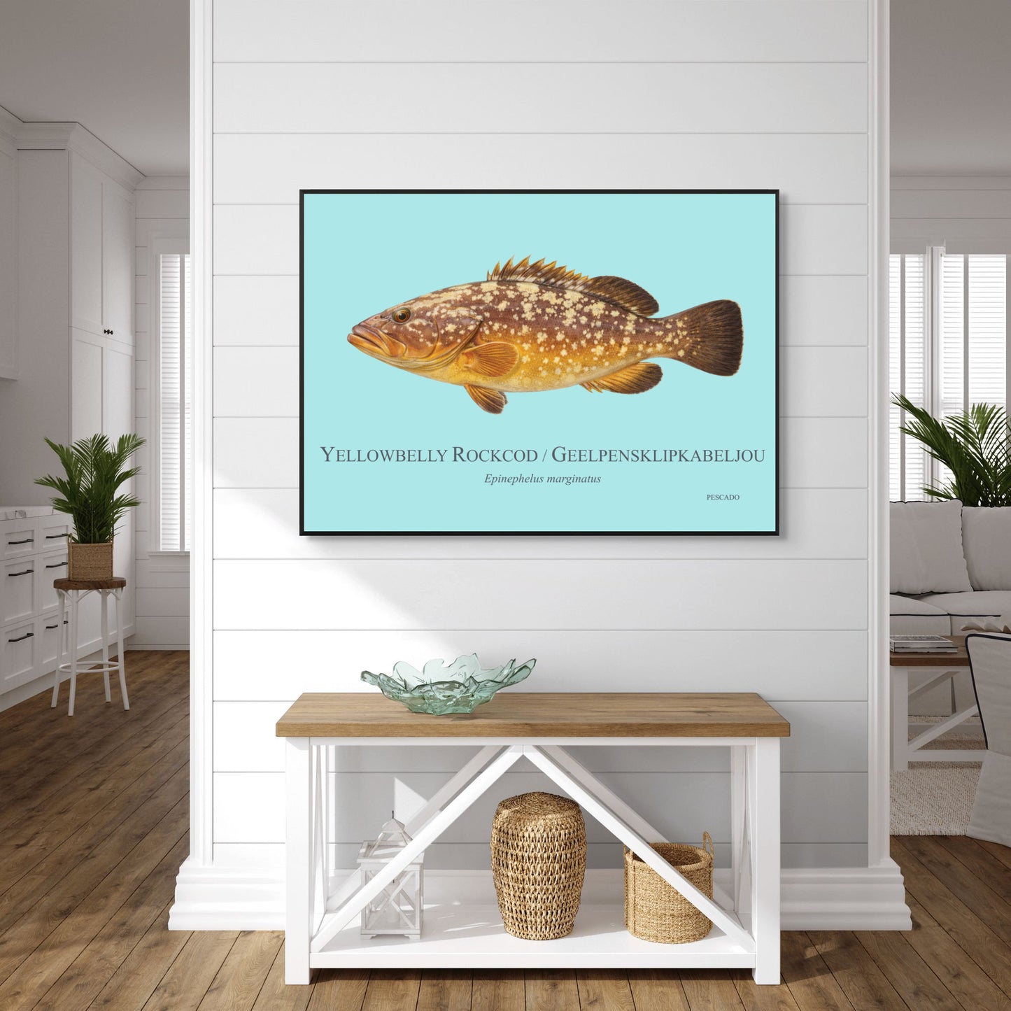 Yellowbelly Rockcod