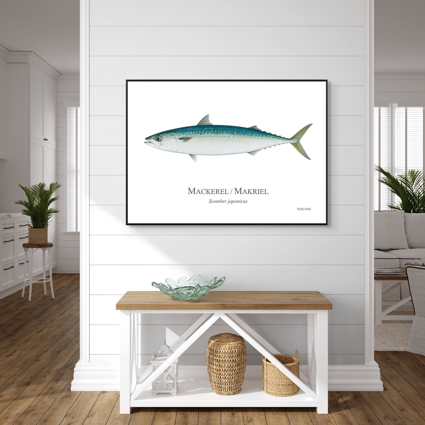 Mackerel / Makriel