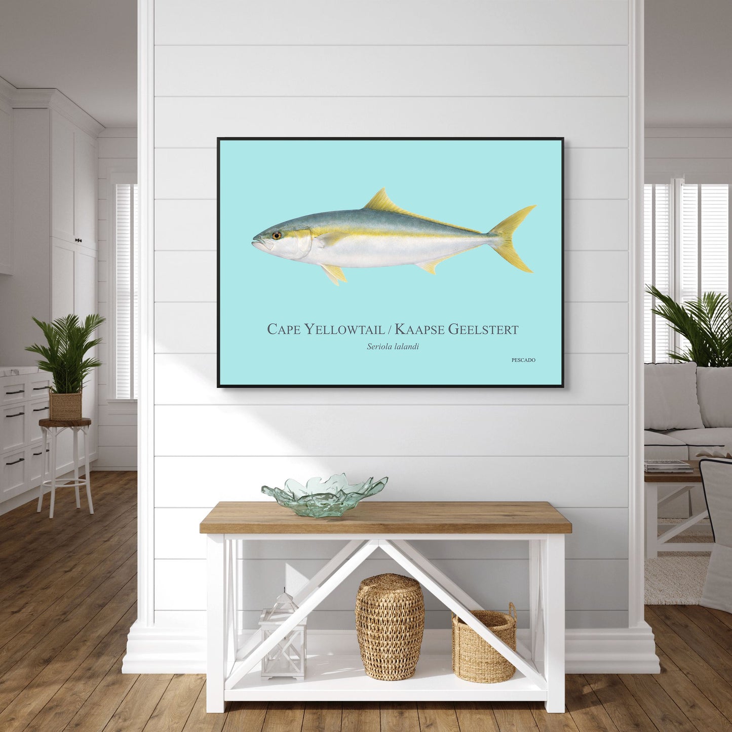 Cape Yellowtail