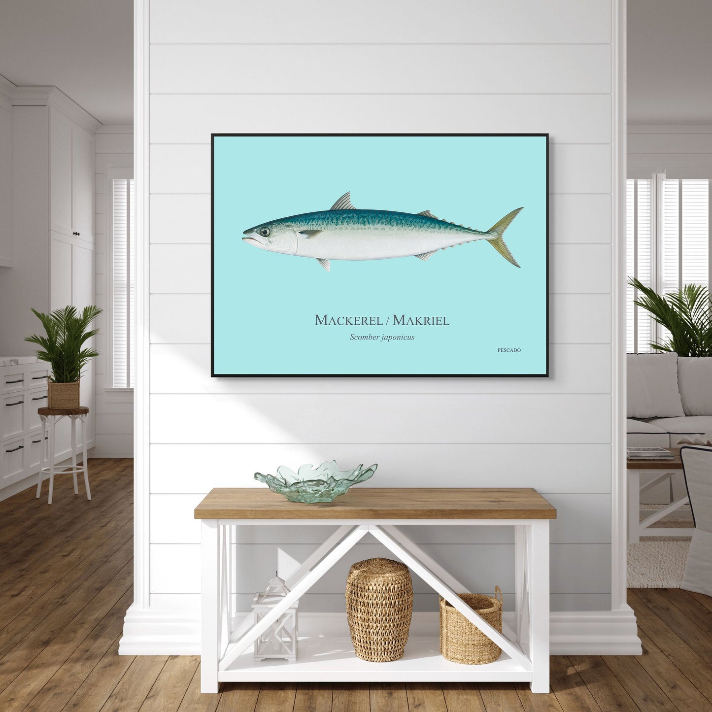 Mackerel / Makriel