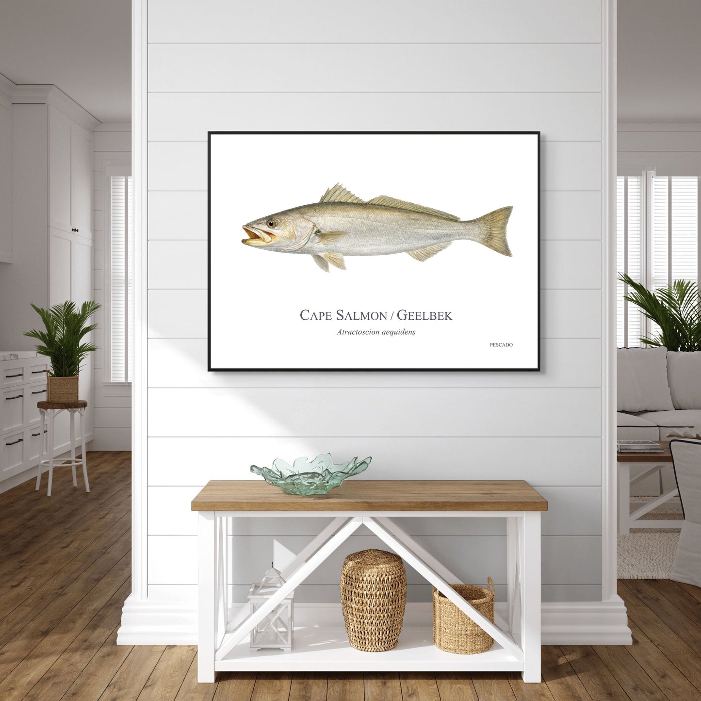 Cape Salmon