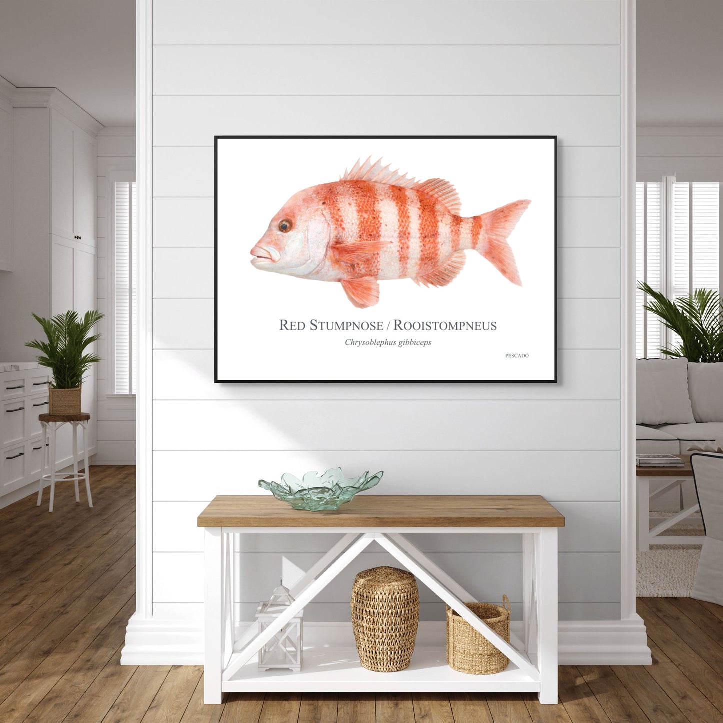 Red Stumpnose