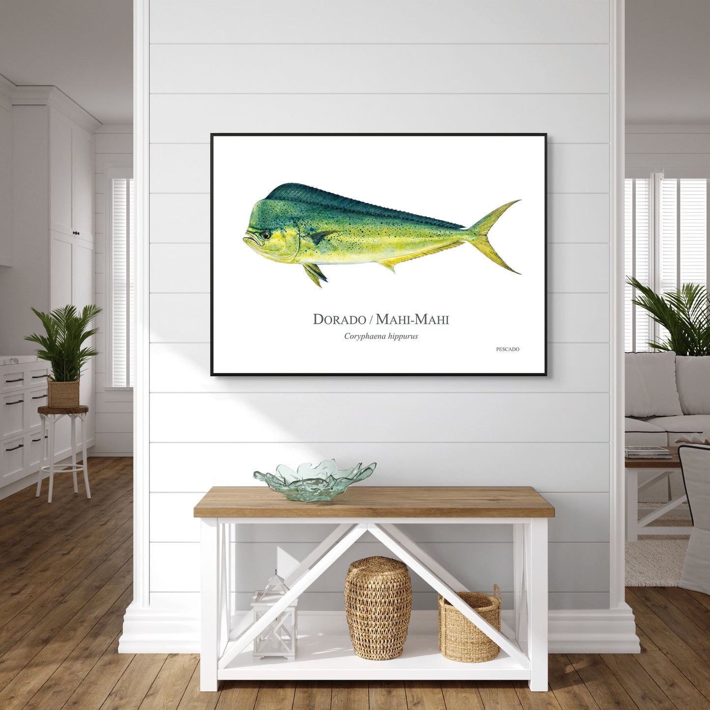 Dorado