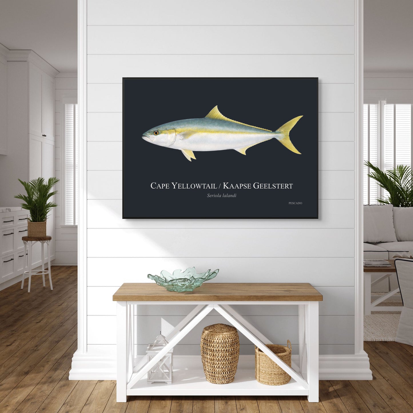 Cape Yellowtail