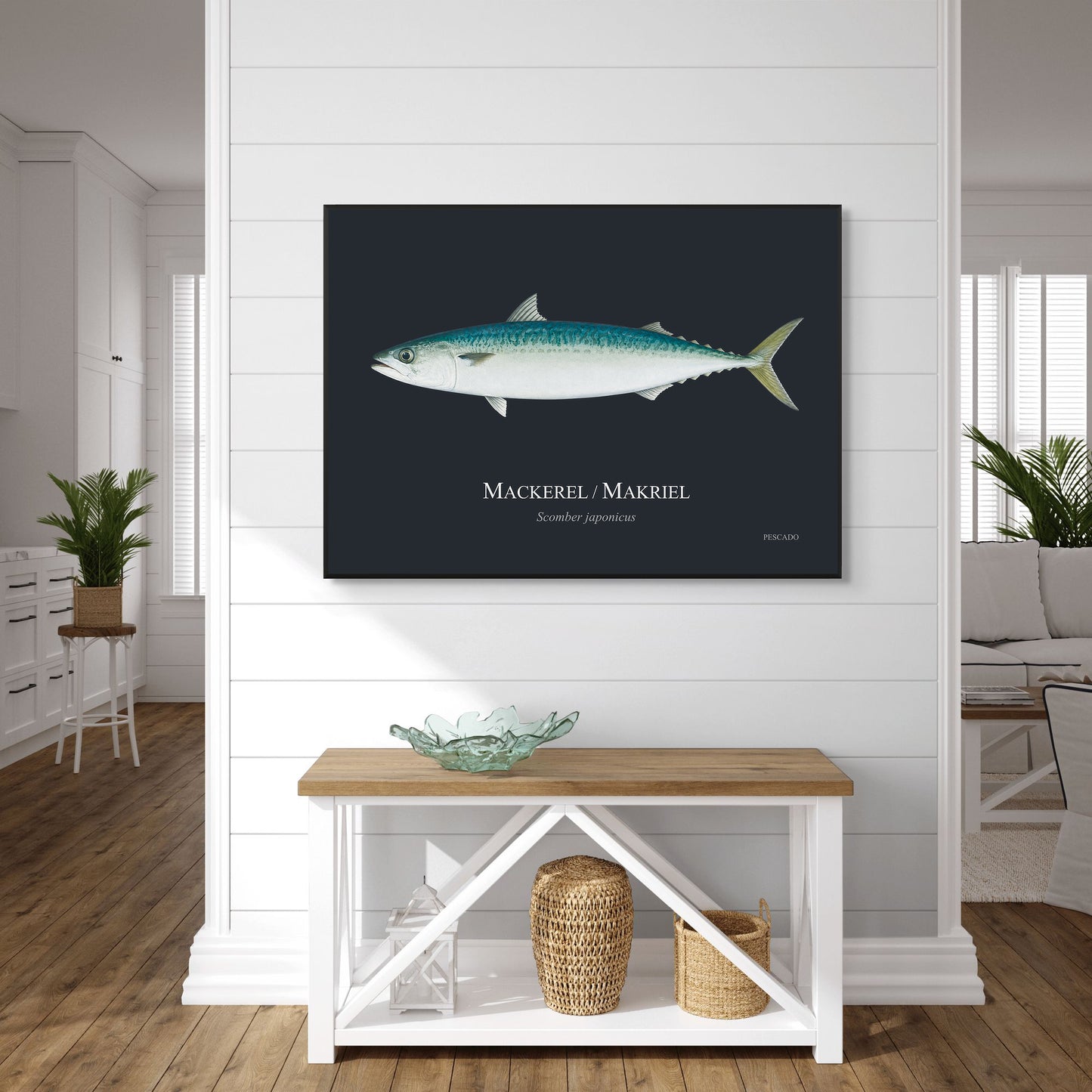 Mackerel / Makriel
