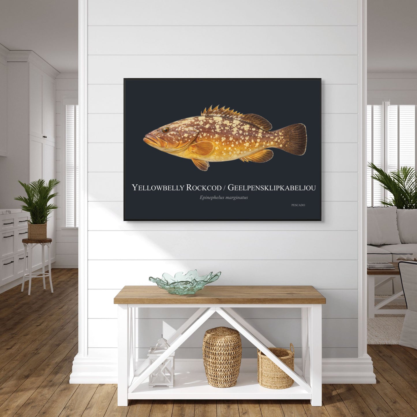 Yellowbelly Rockcod