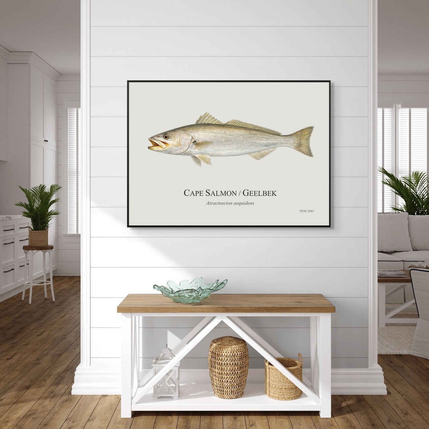 Cape Salmon