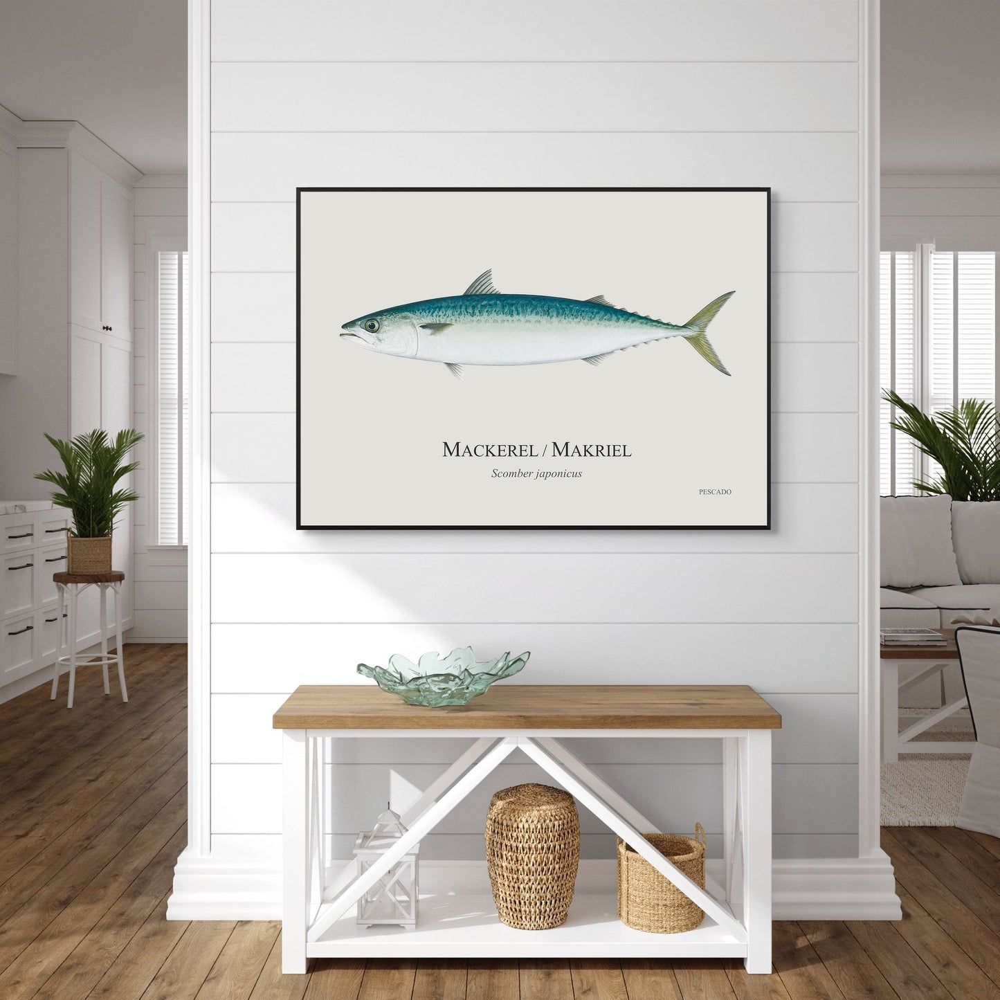 Mackerel / Makriel