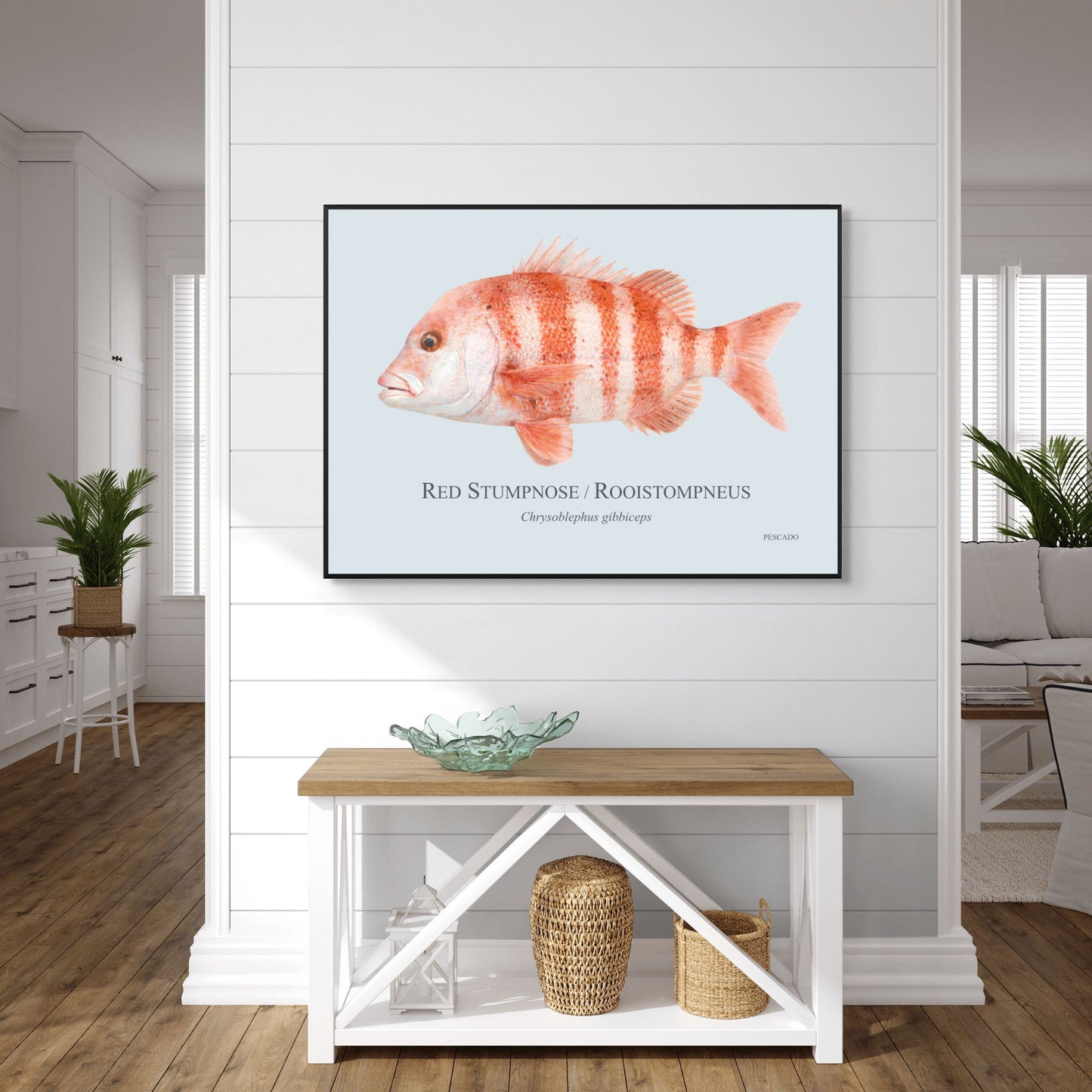 Red Stumpnose