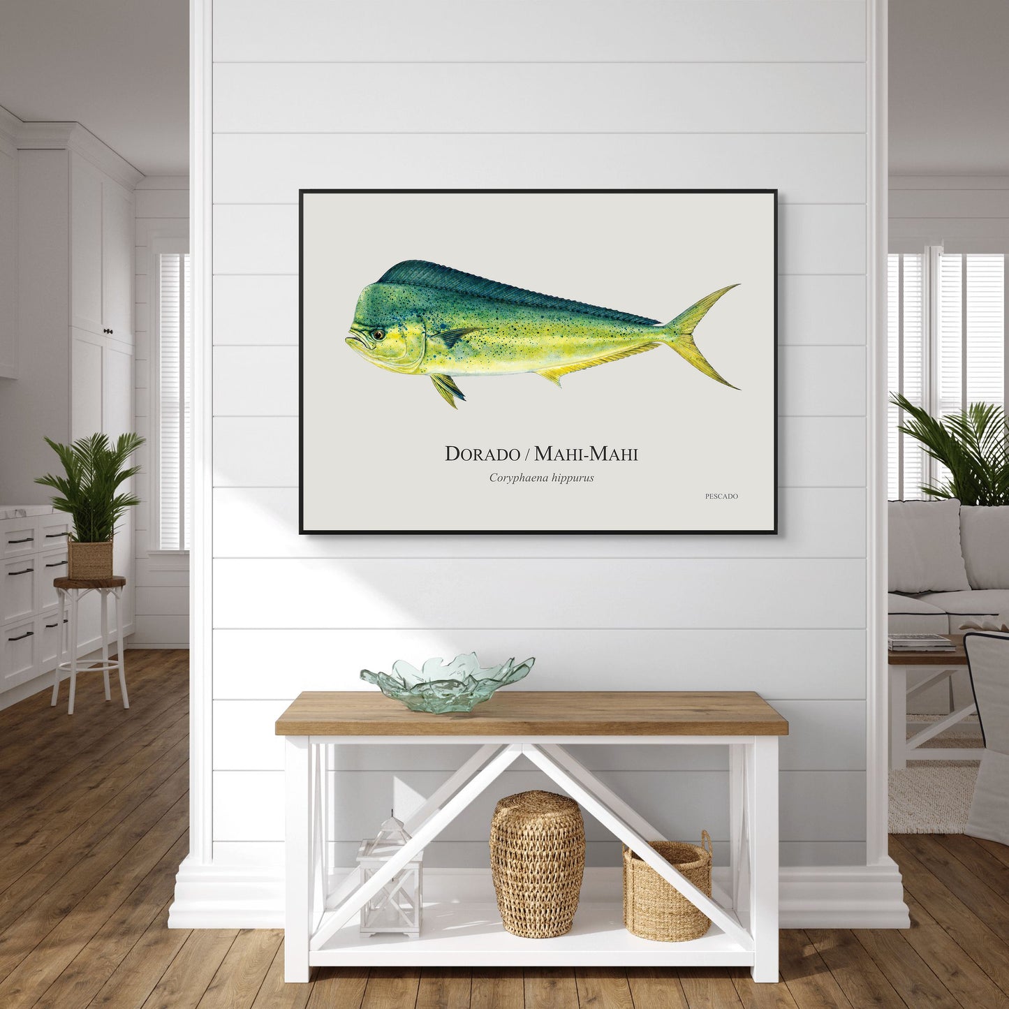 Dorado