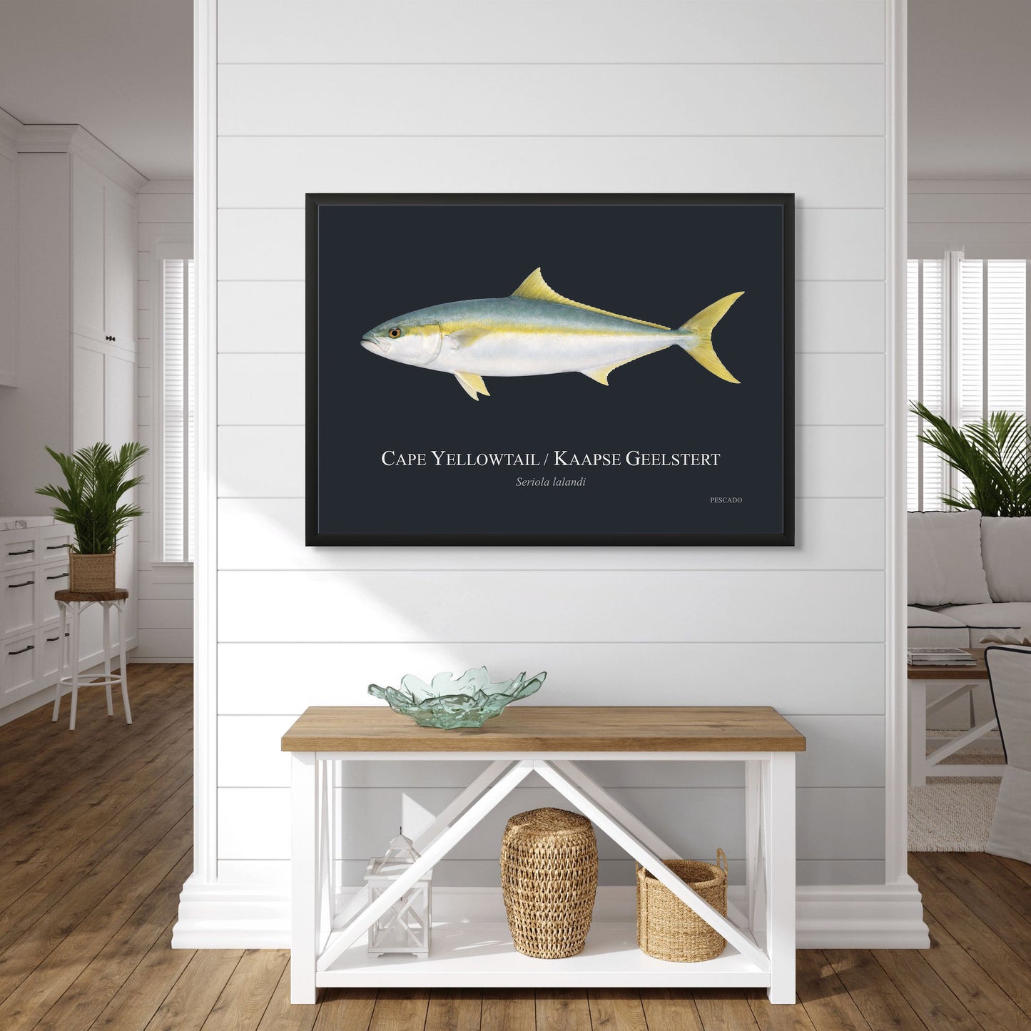 Cape Yellowtail