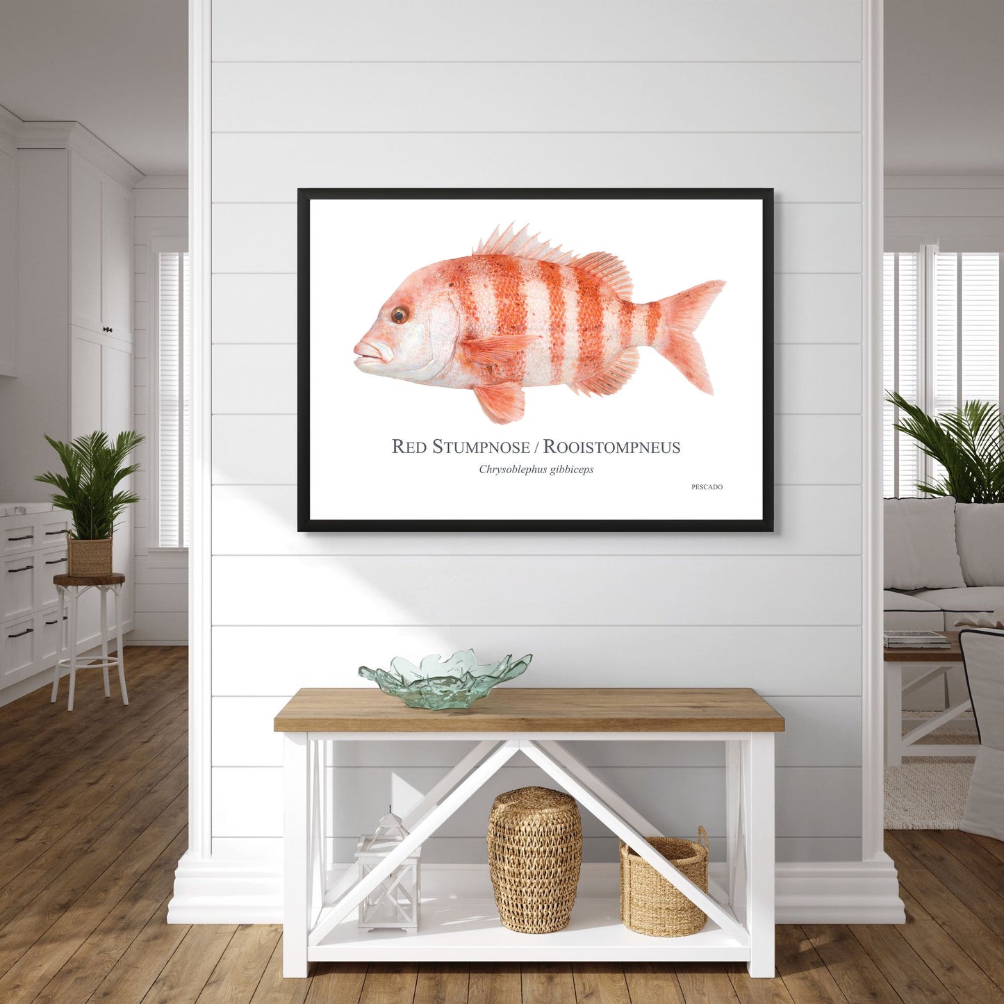Red Stumpnose