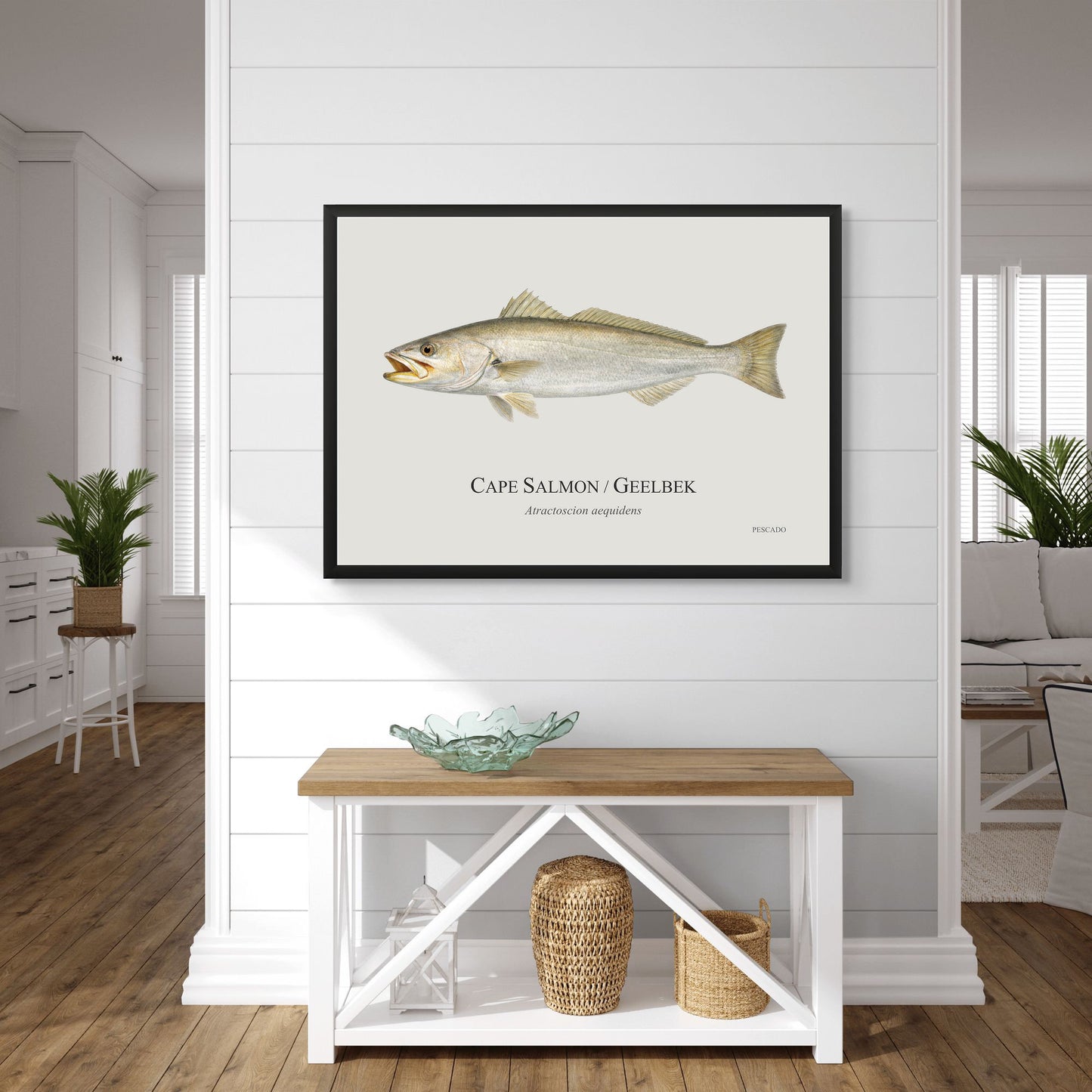 Cape Salmon