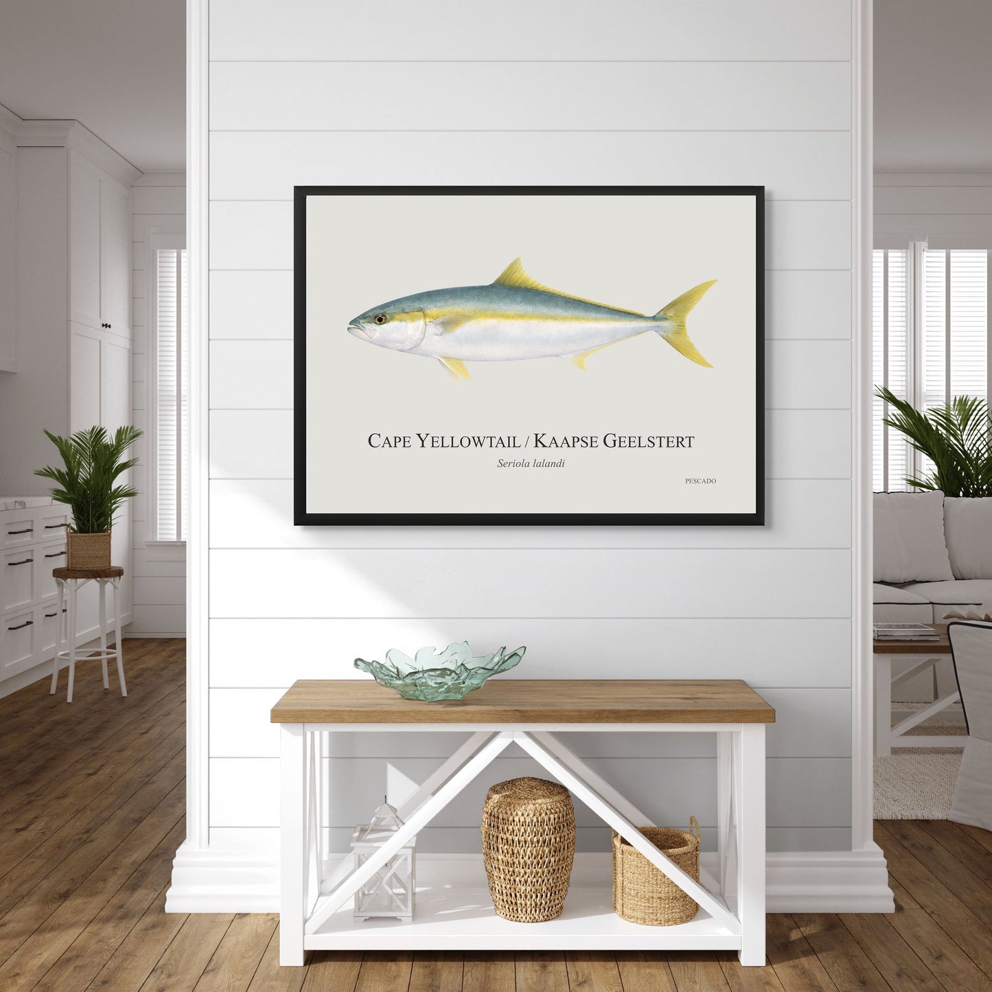 Cape Yellowtail