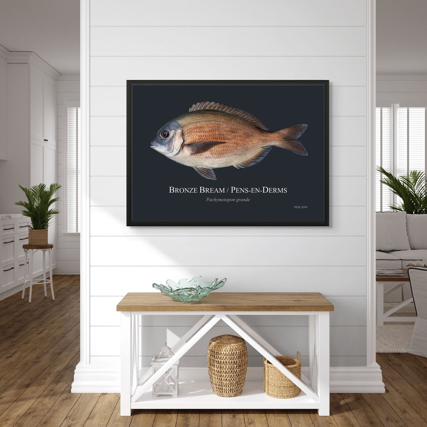 Bronze Bream