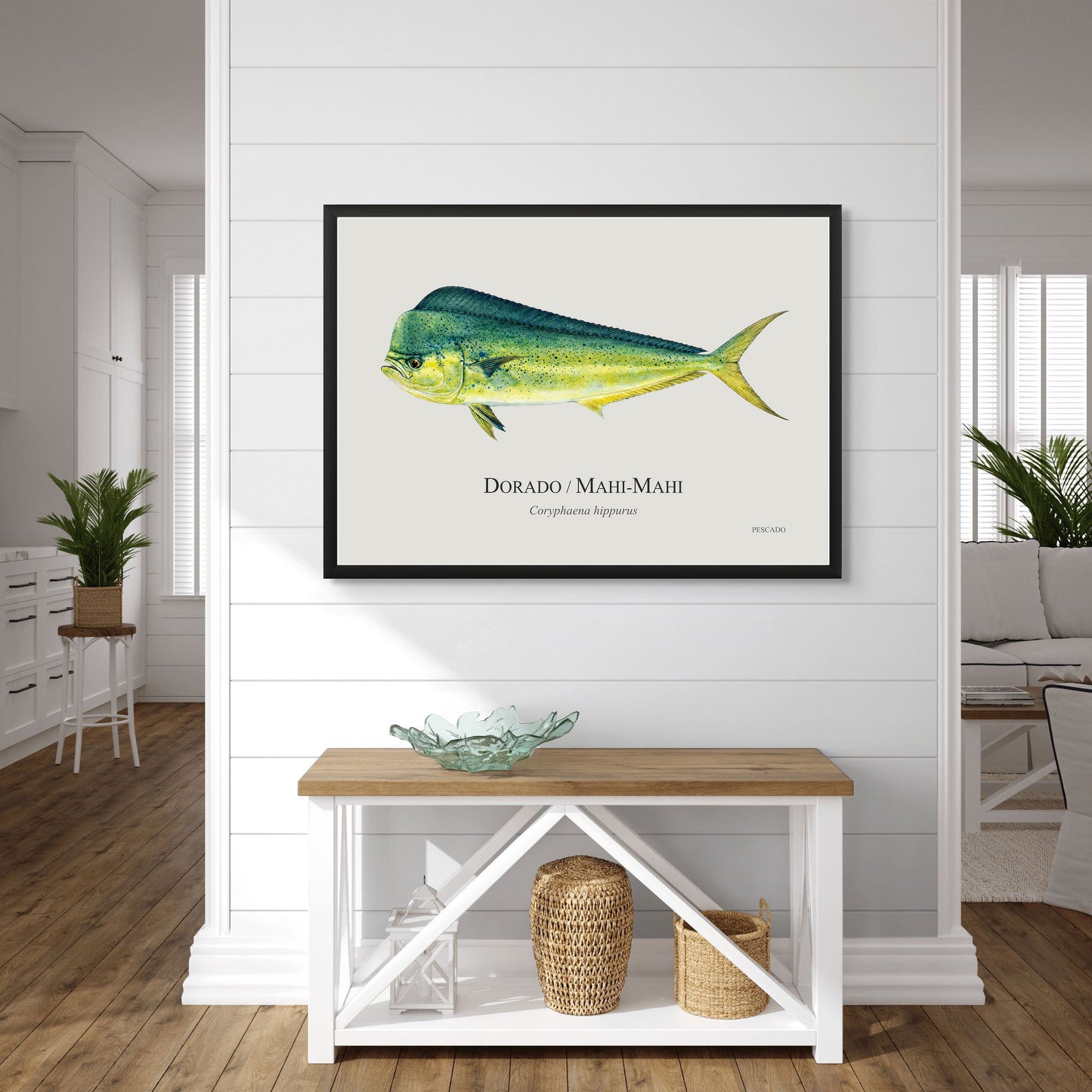 Dorado
