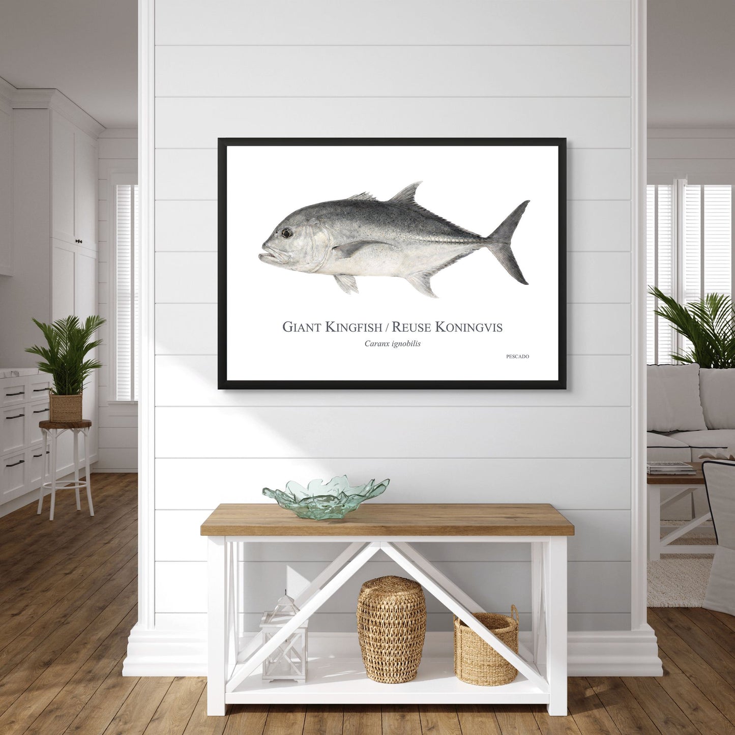 Giant Kingfish