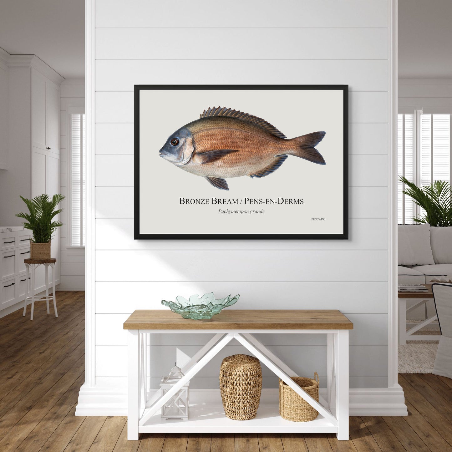 Bronze Bream
