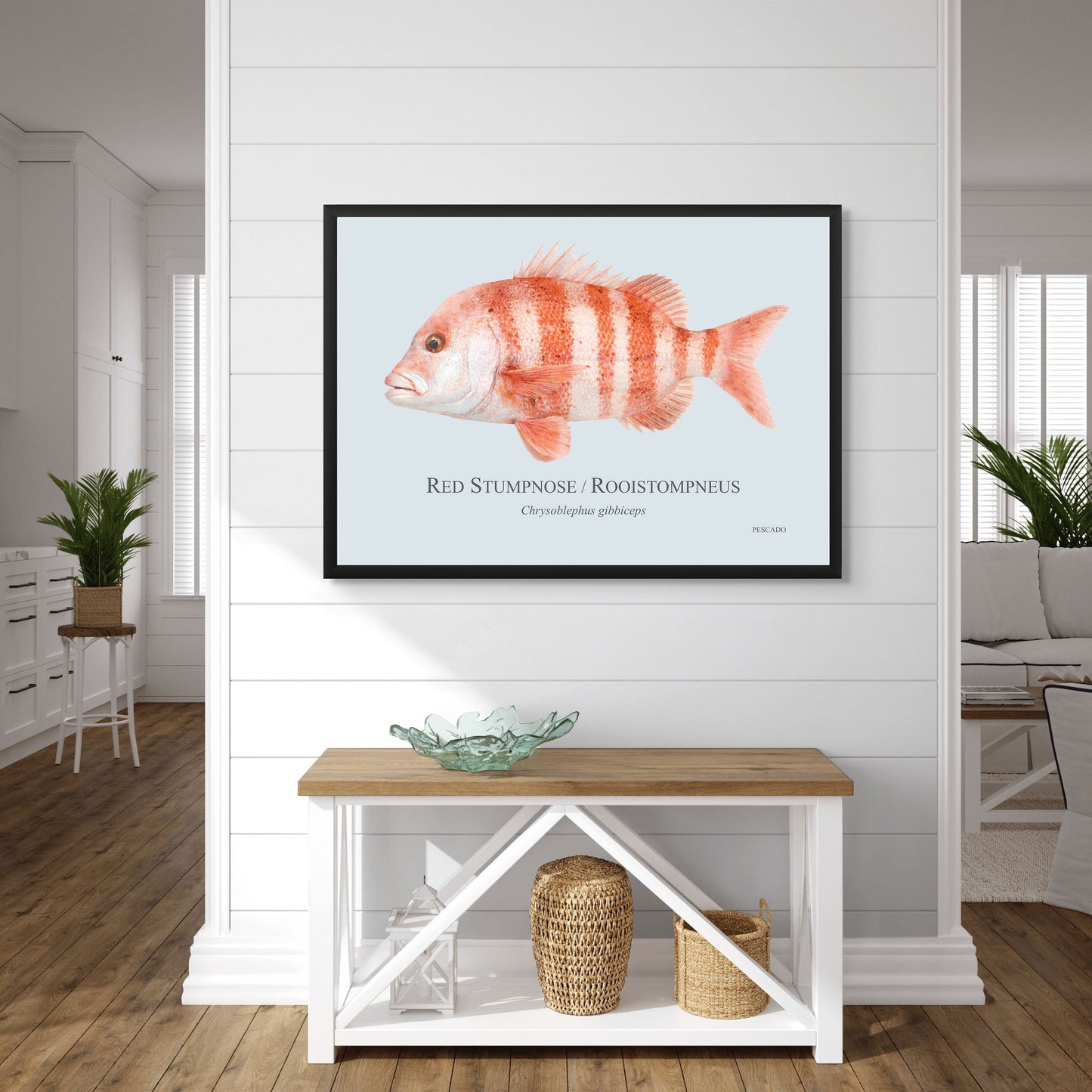 Red Stumpnose