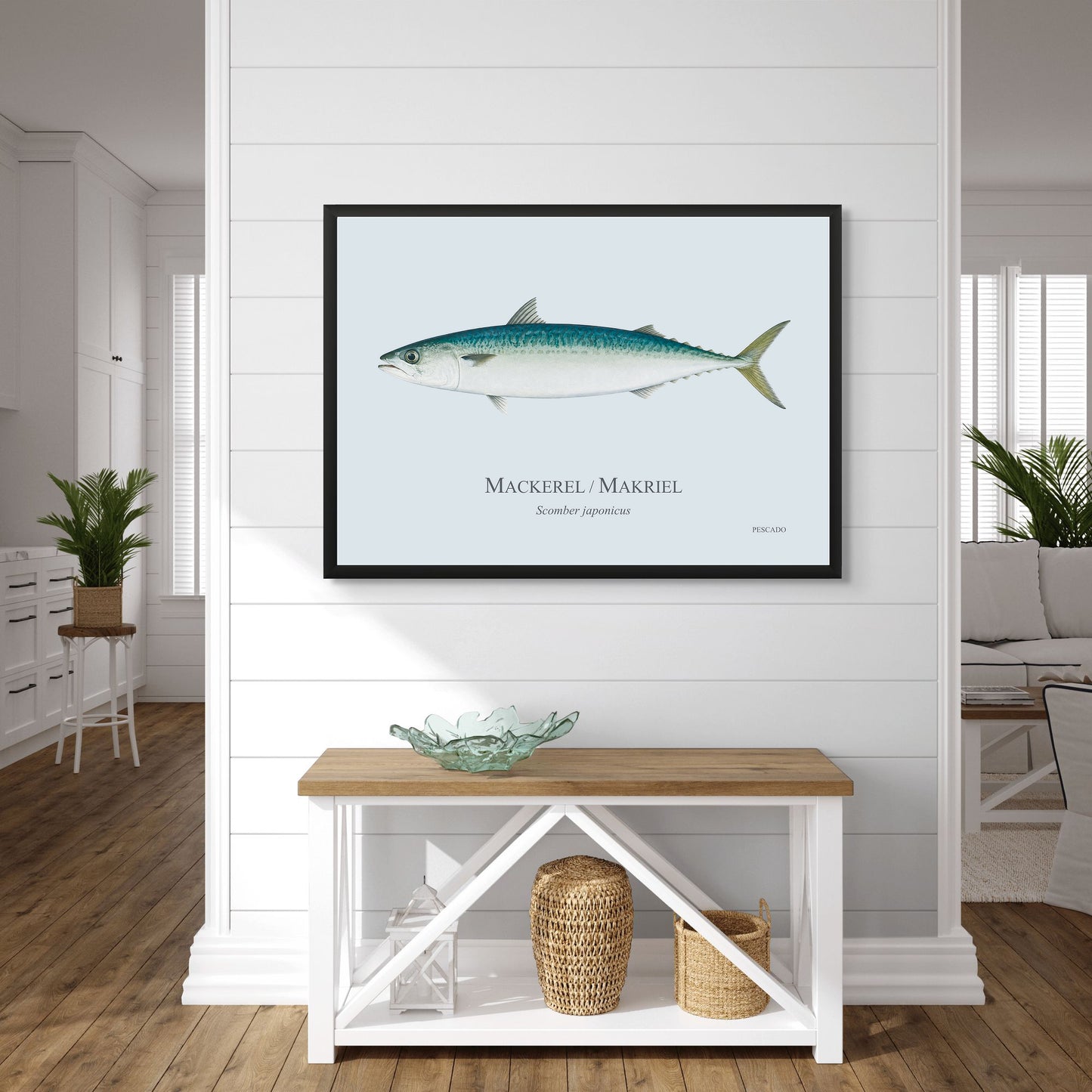 Mackerel / Makriel
