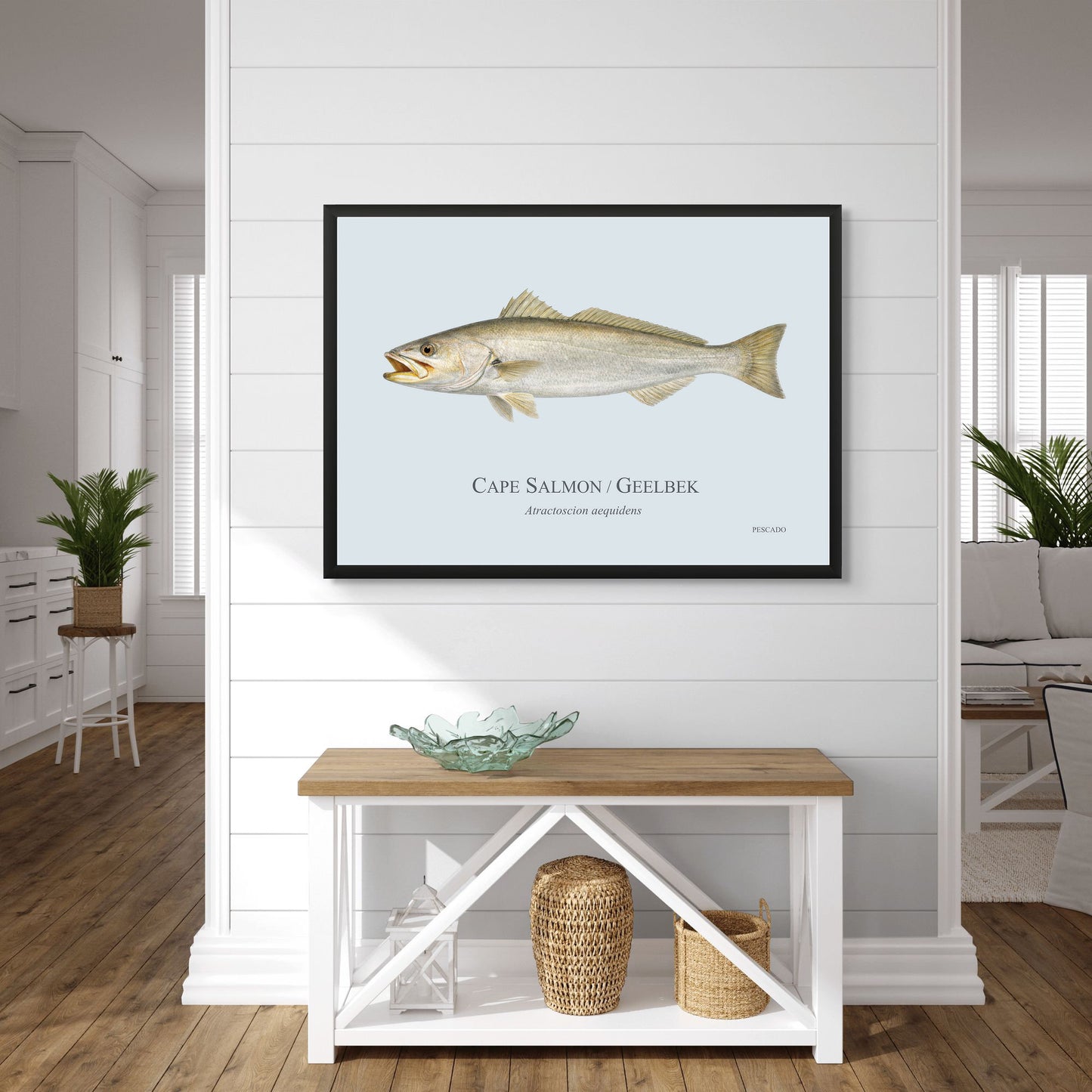 Cape Salmon