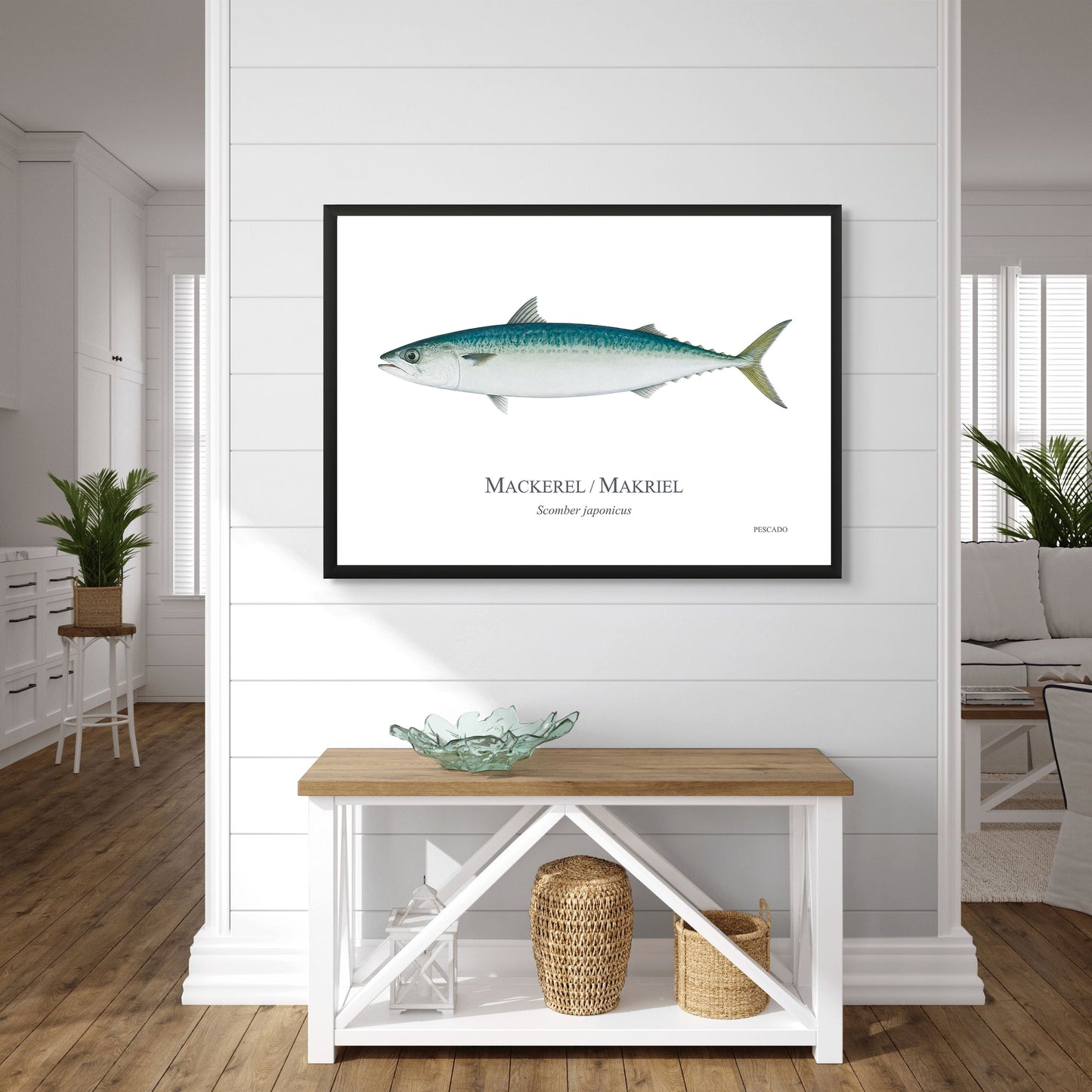 Mackerel / Makriel