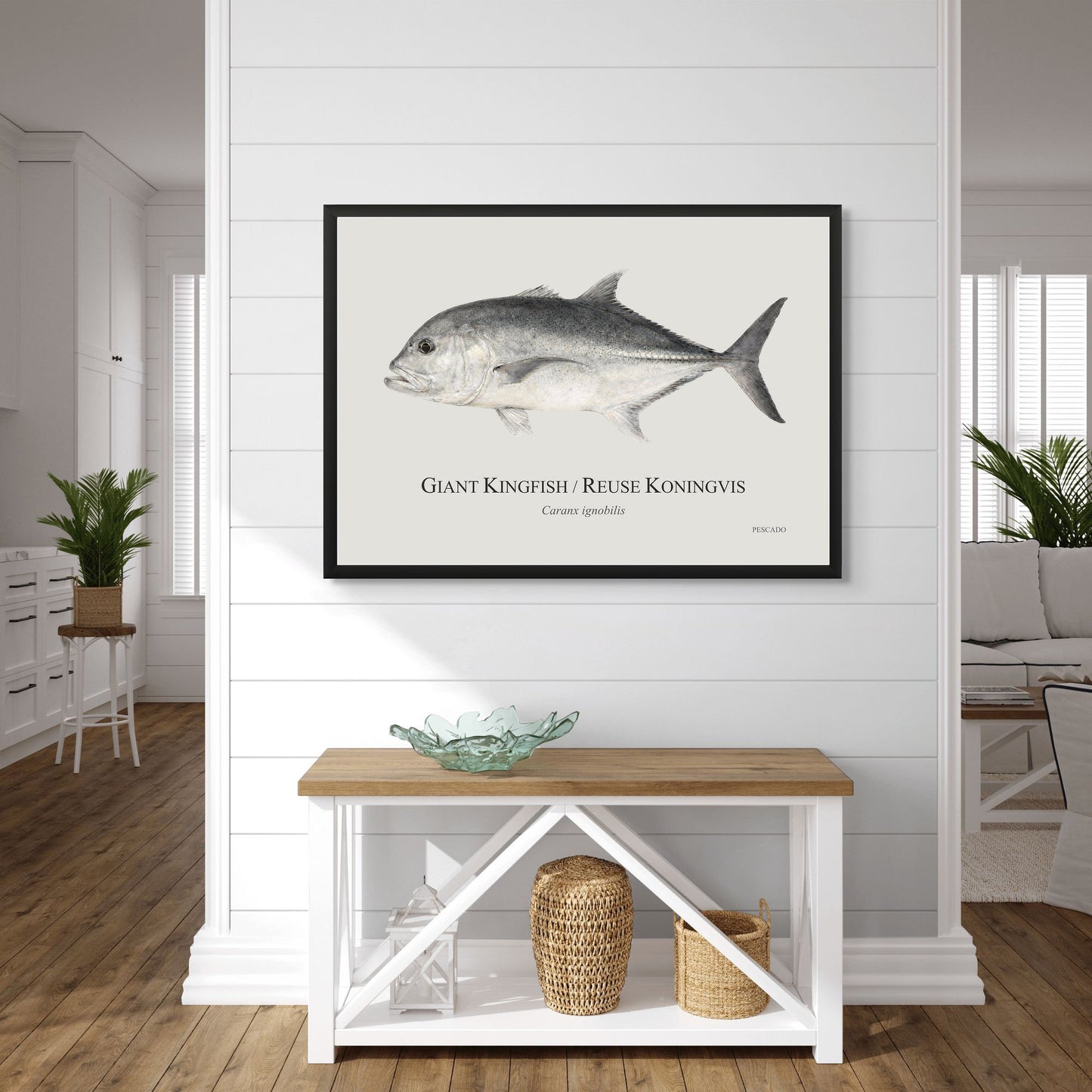 Giant Kingfish