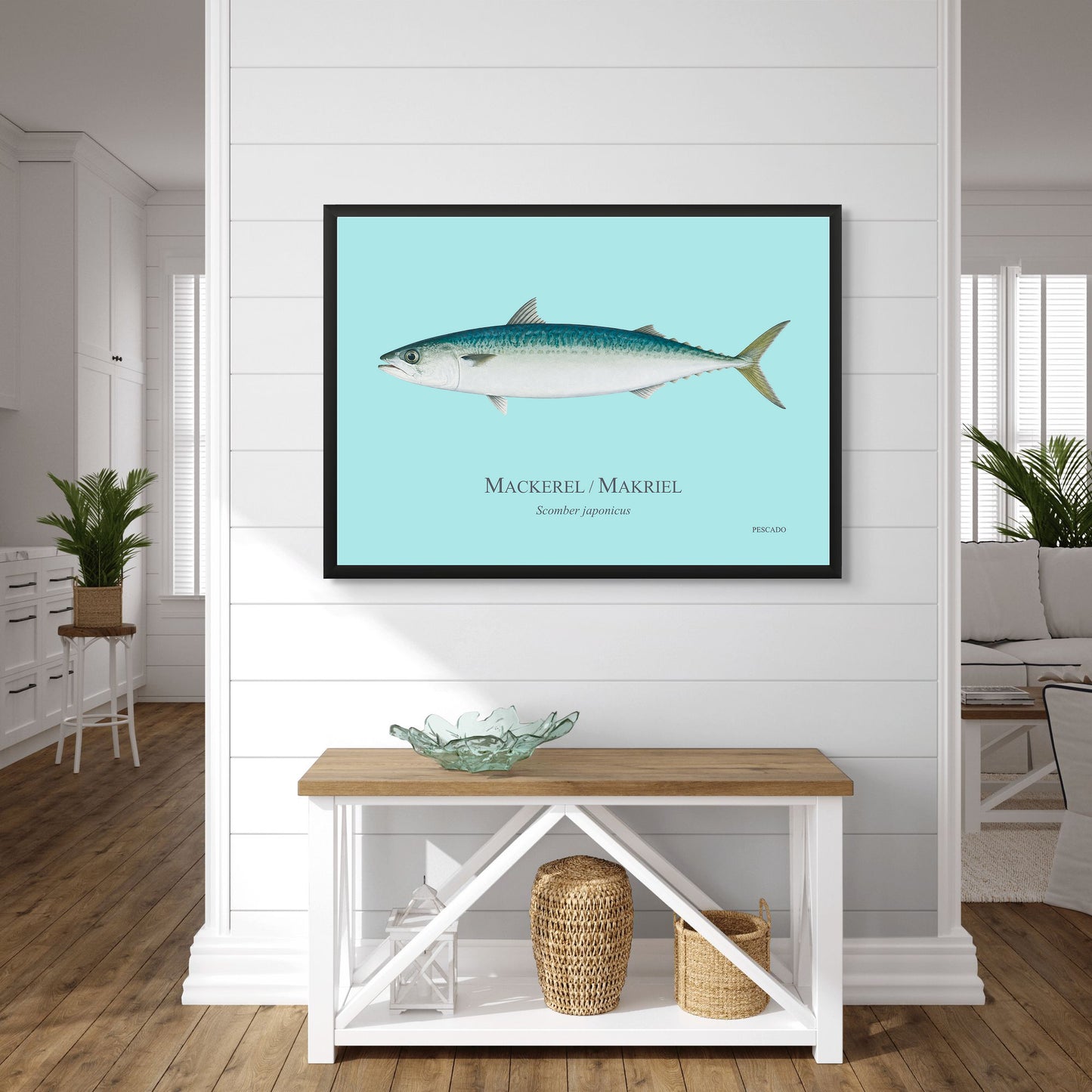 Mackerel / Makriel