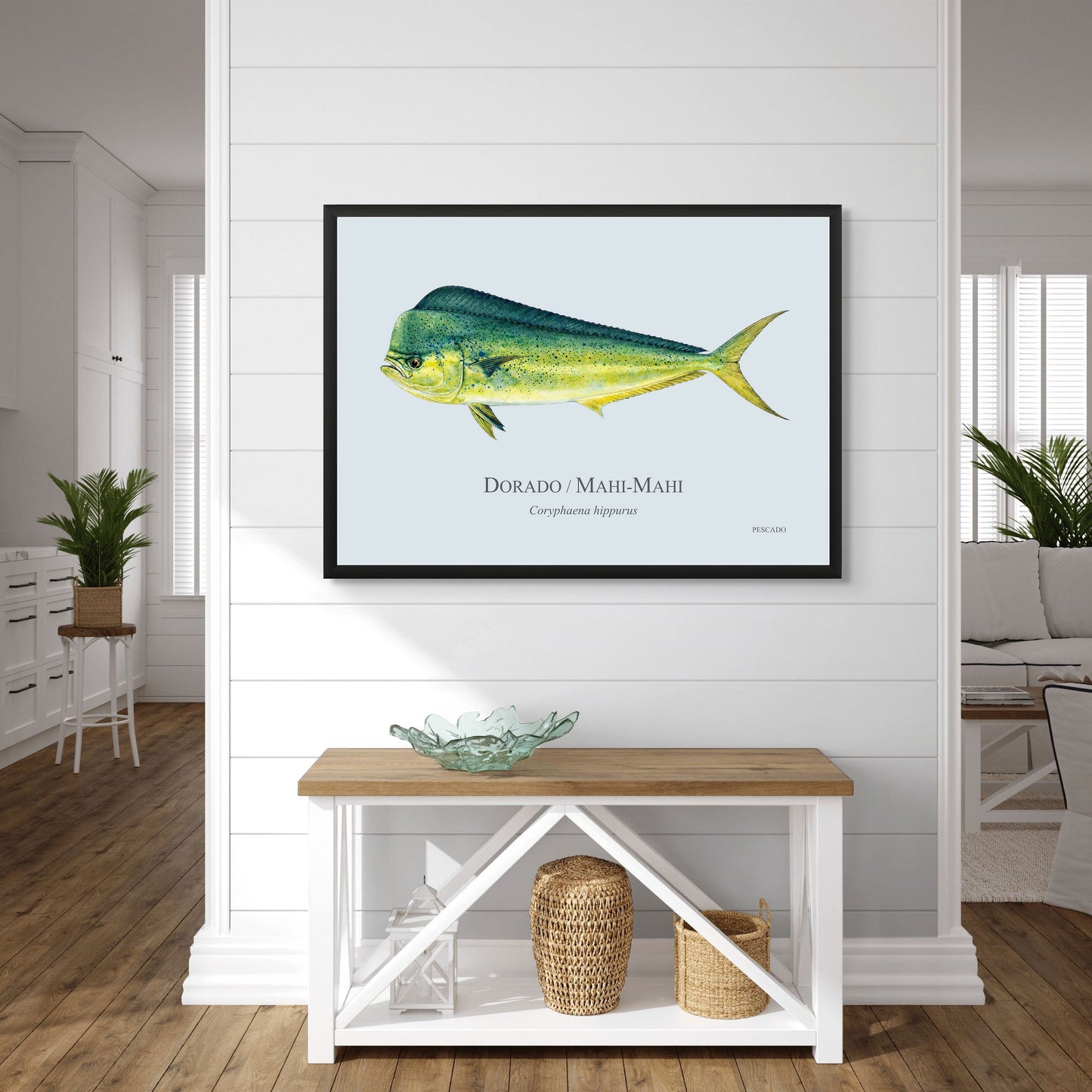 Dorado