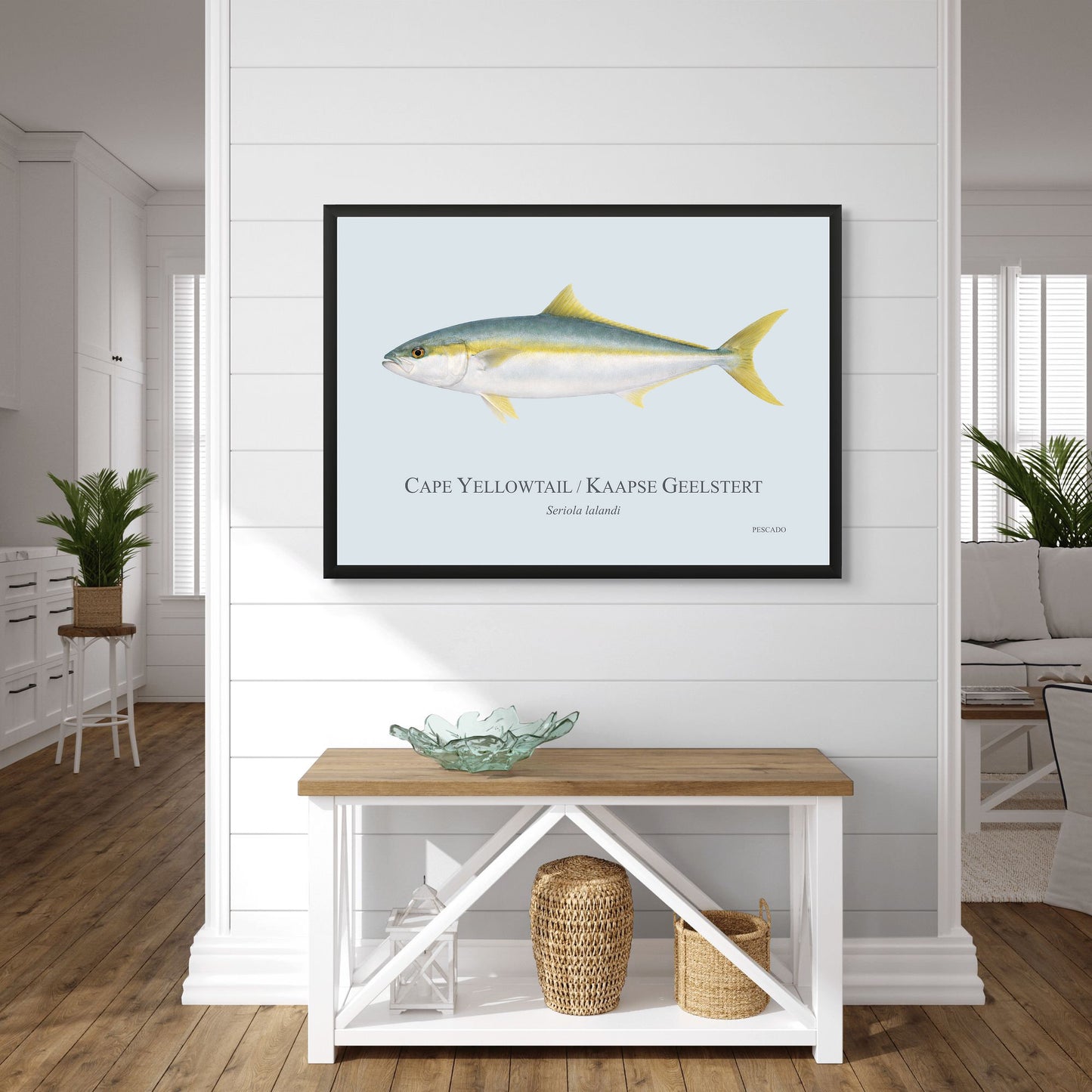 Cape Yellowtail