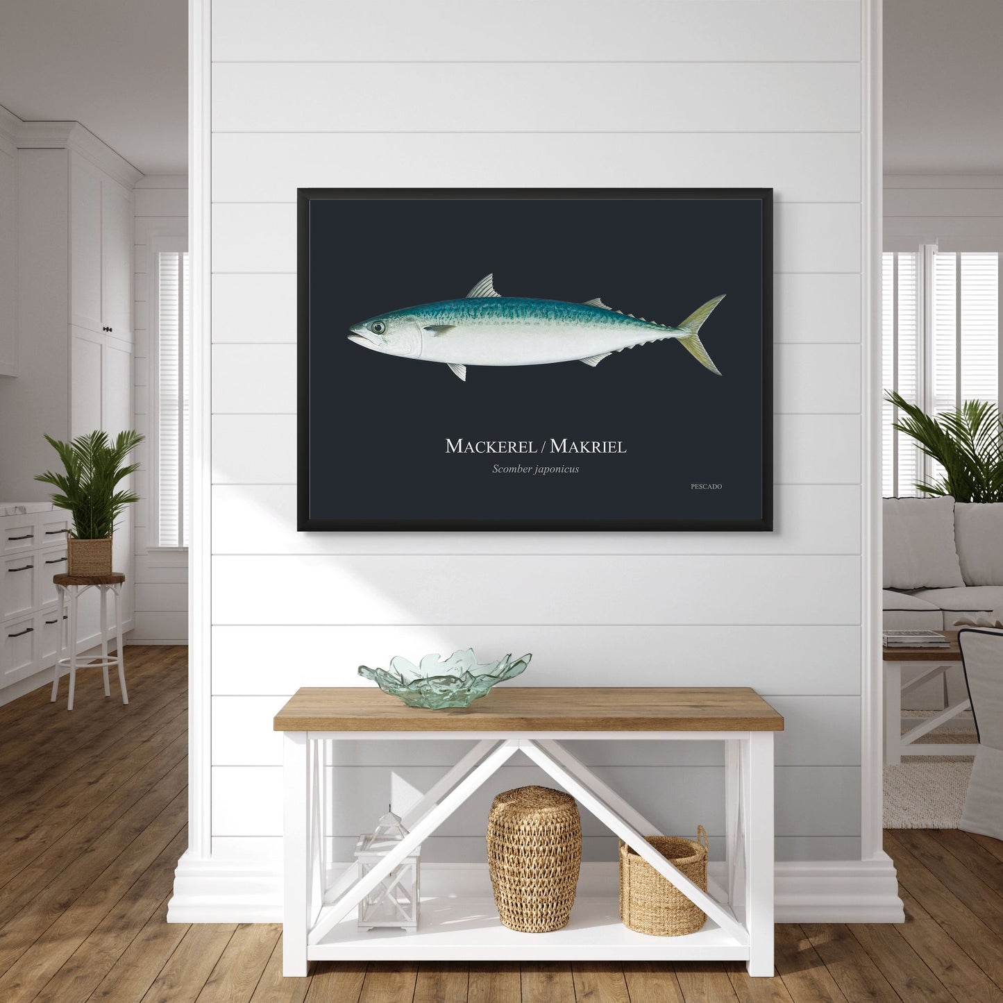 Mackerel / Makriel