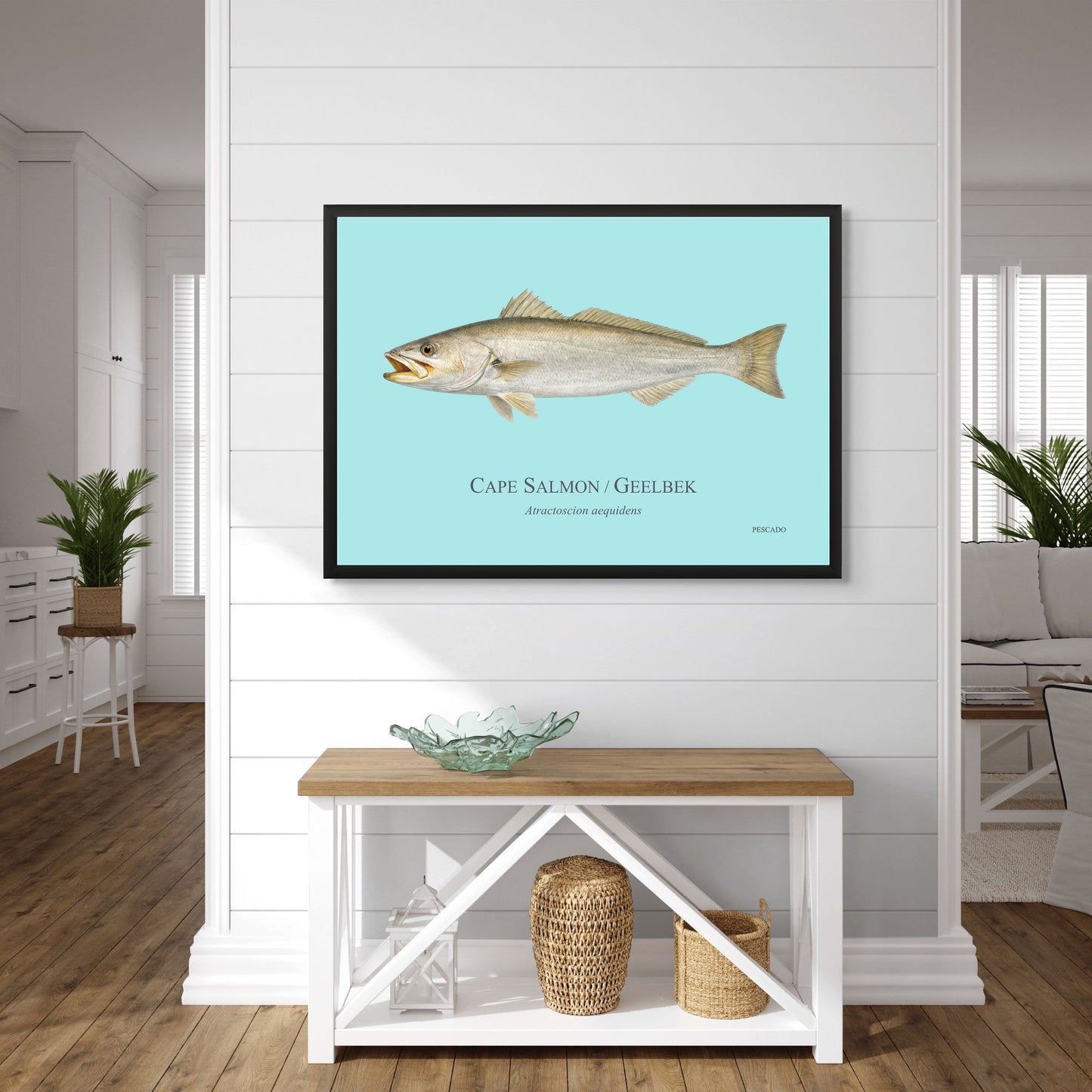 Cape Salmon