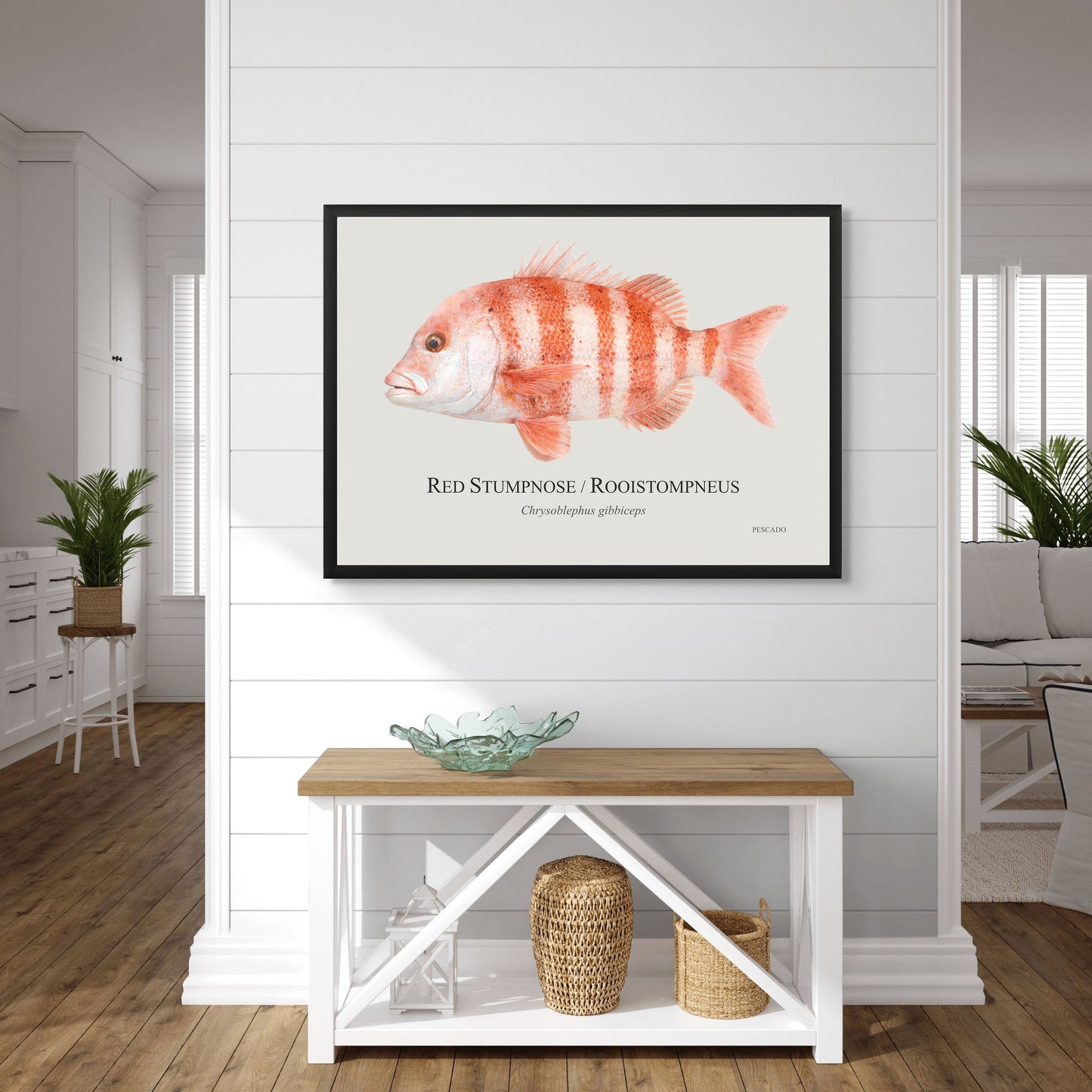 Red Stumpnose