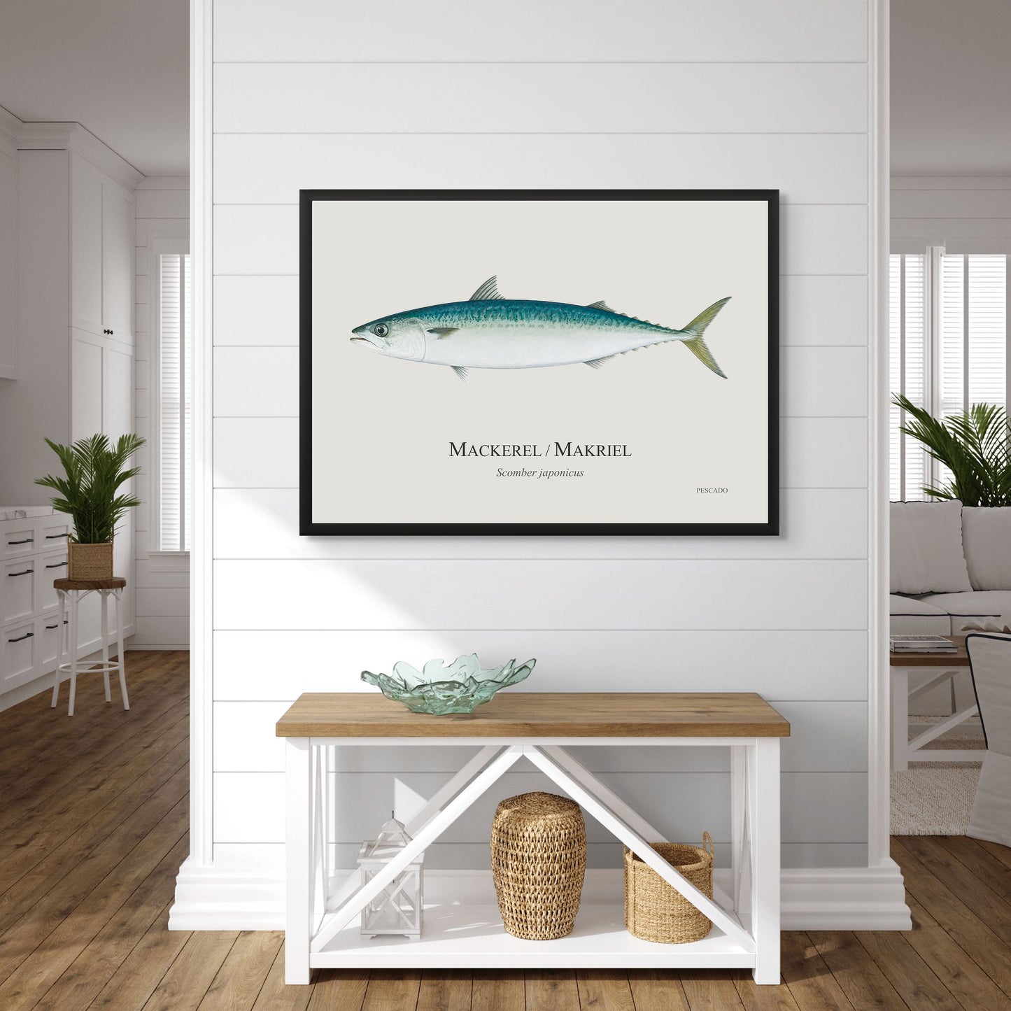 Mackerel / Makriel