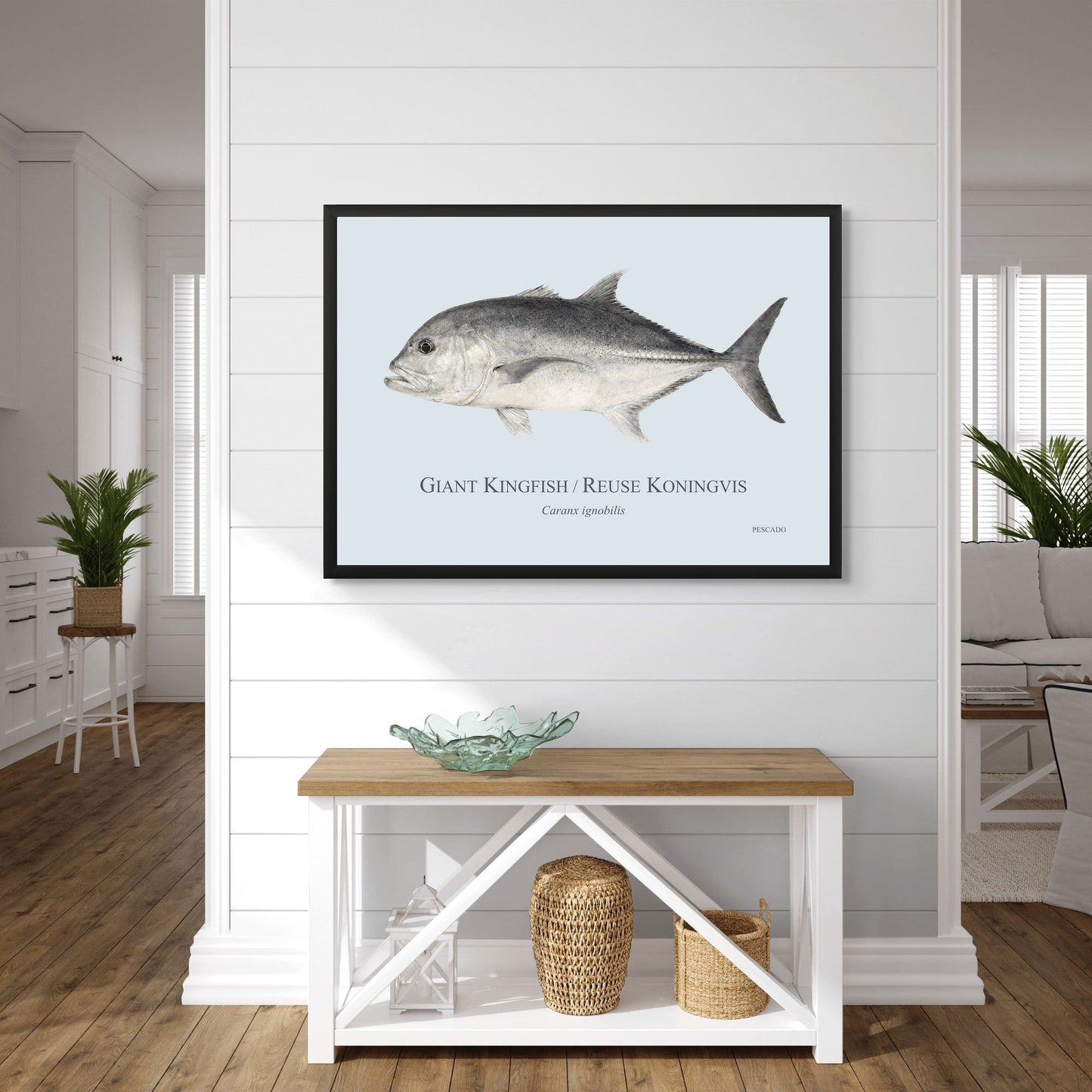 Giant Kingfish