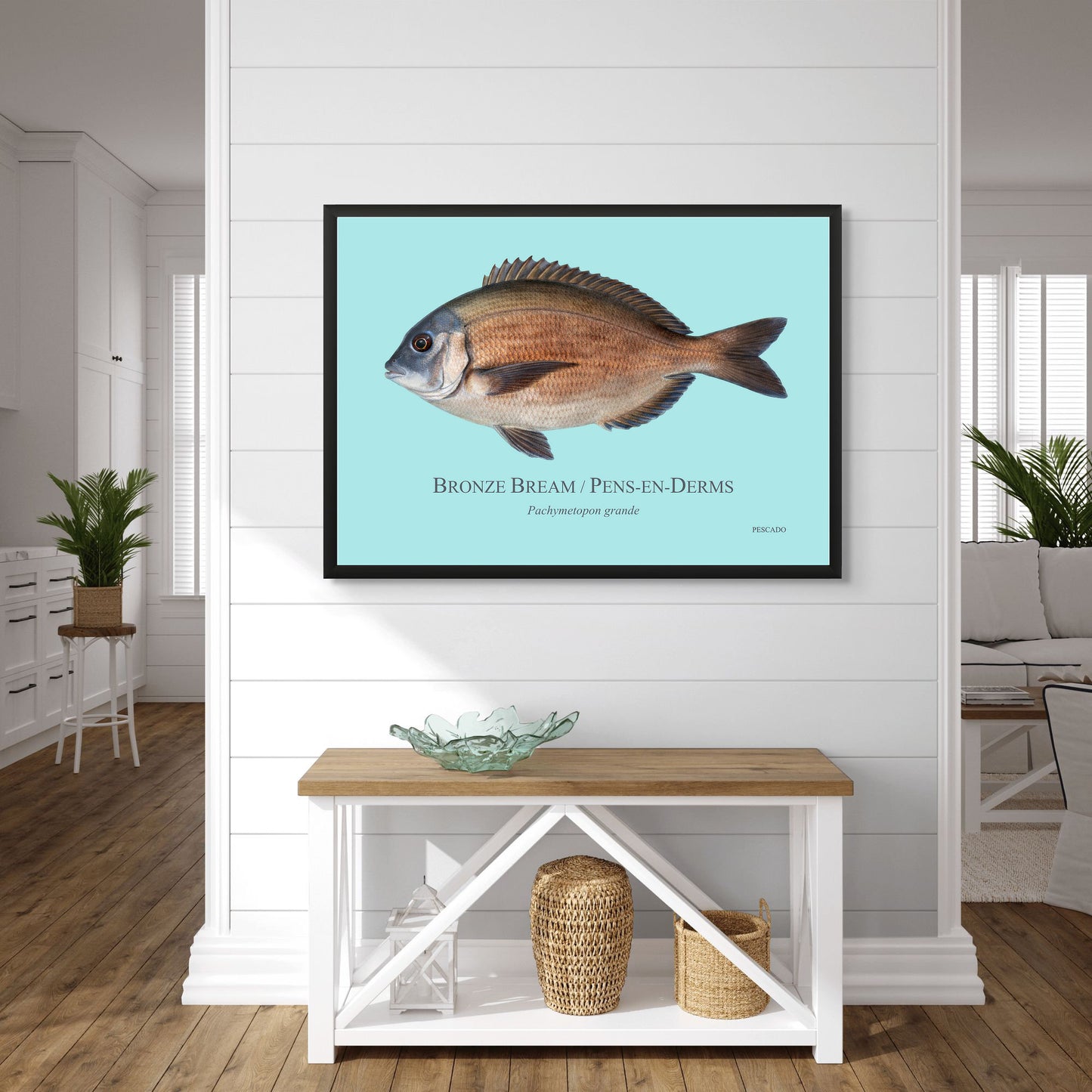 Bronze Bream