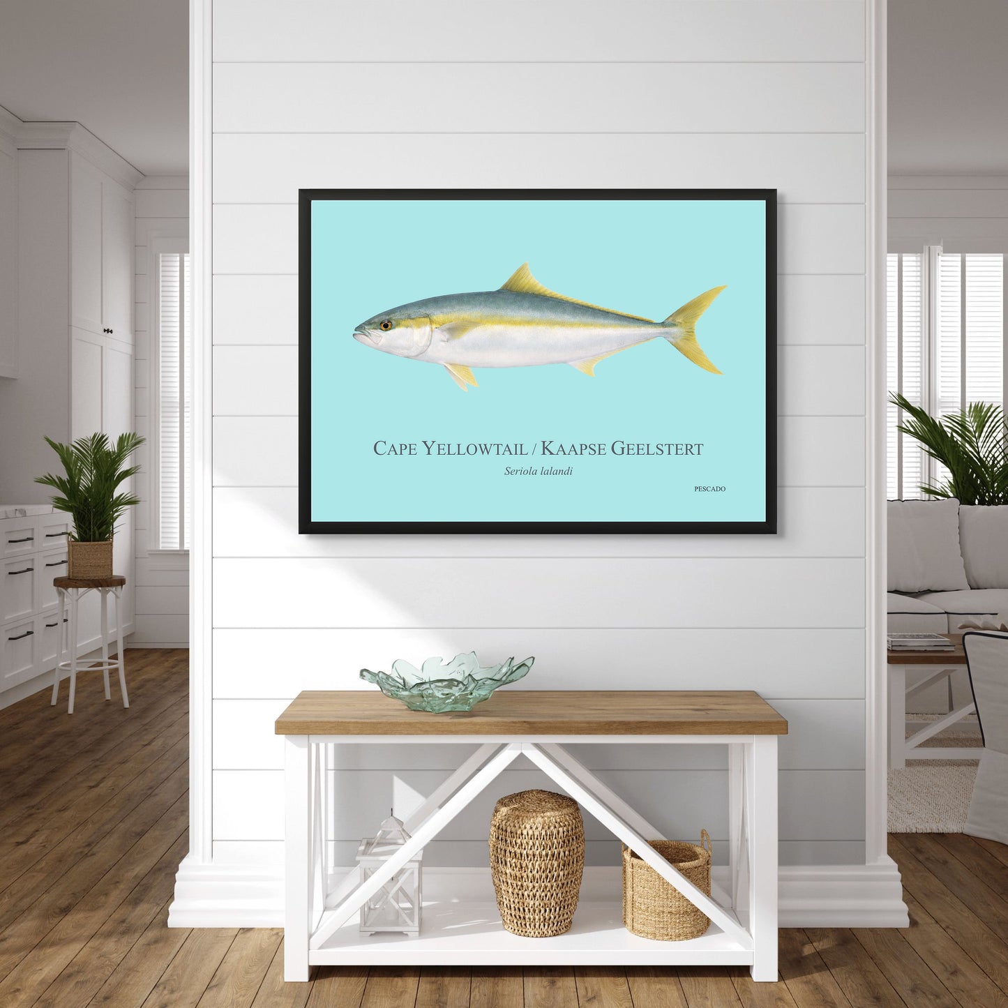 Cape Yellowtail