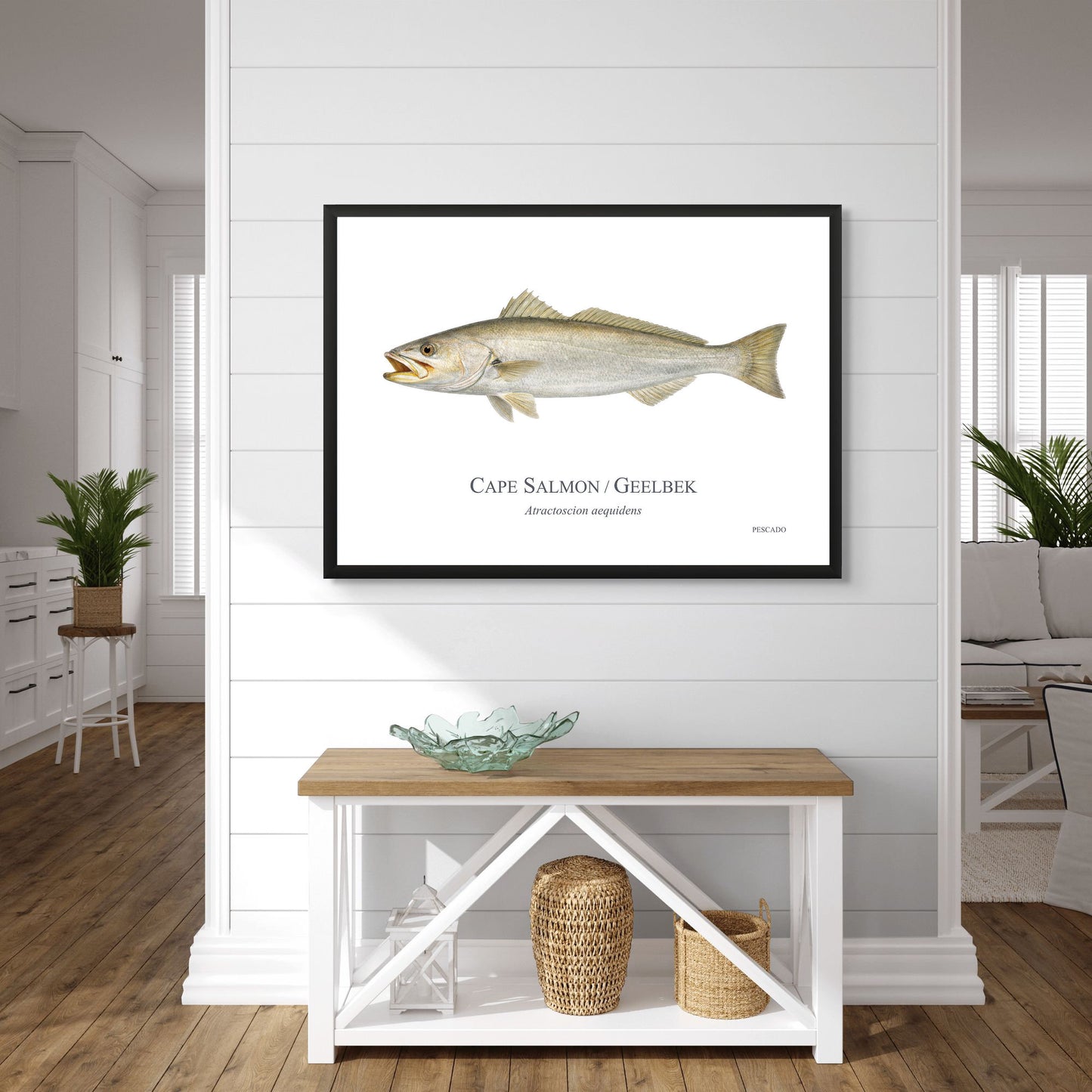 Cape Salmon