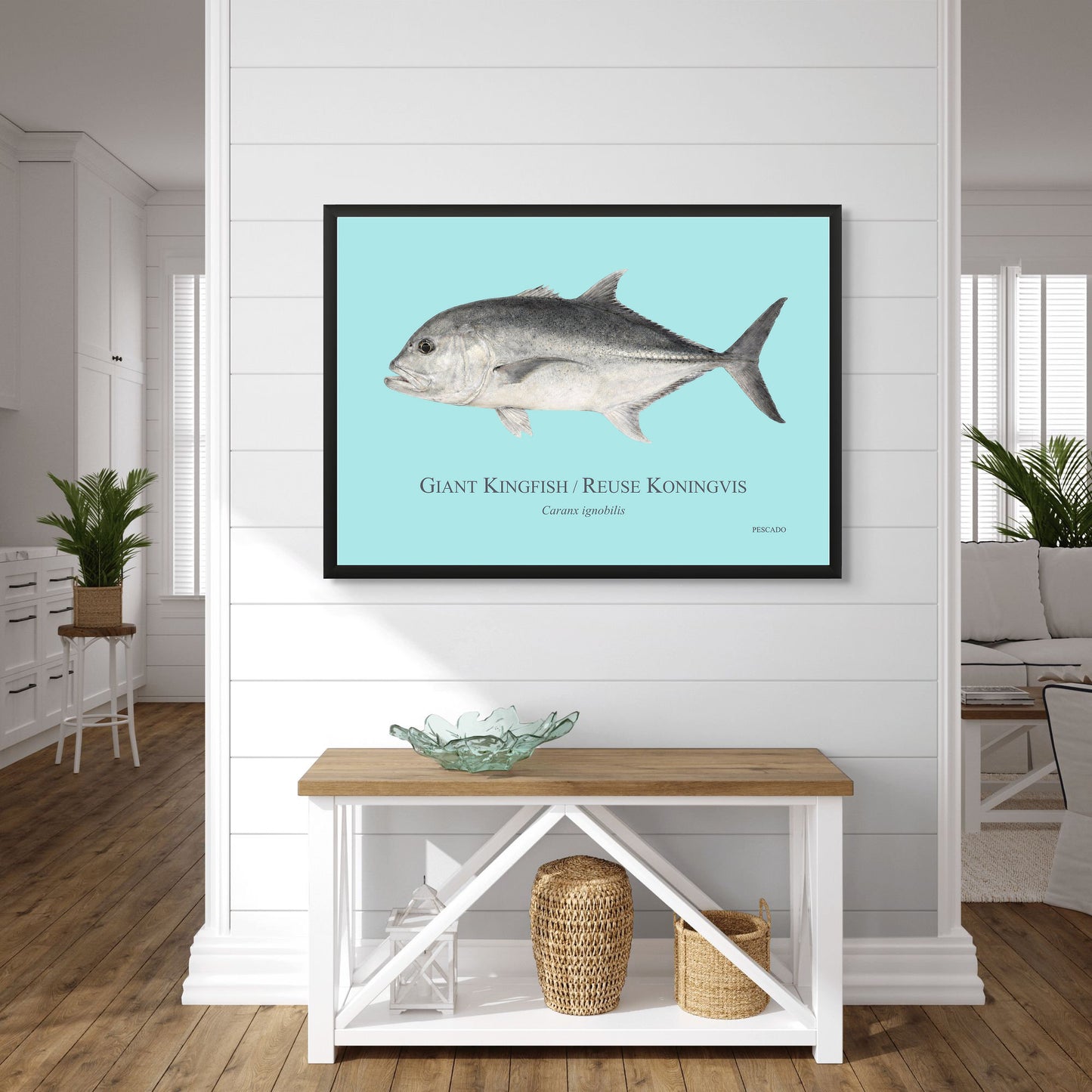 Giant Kingfish