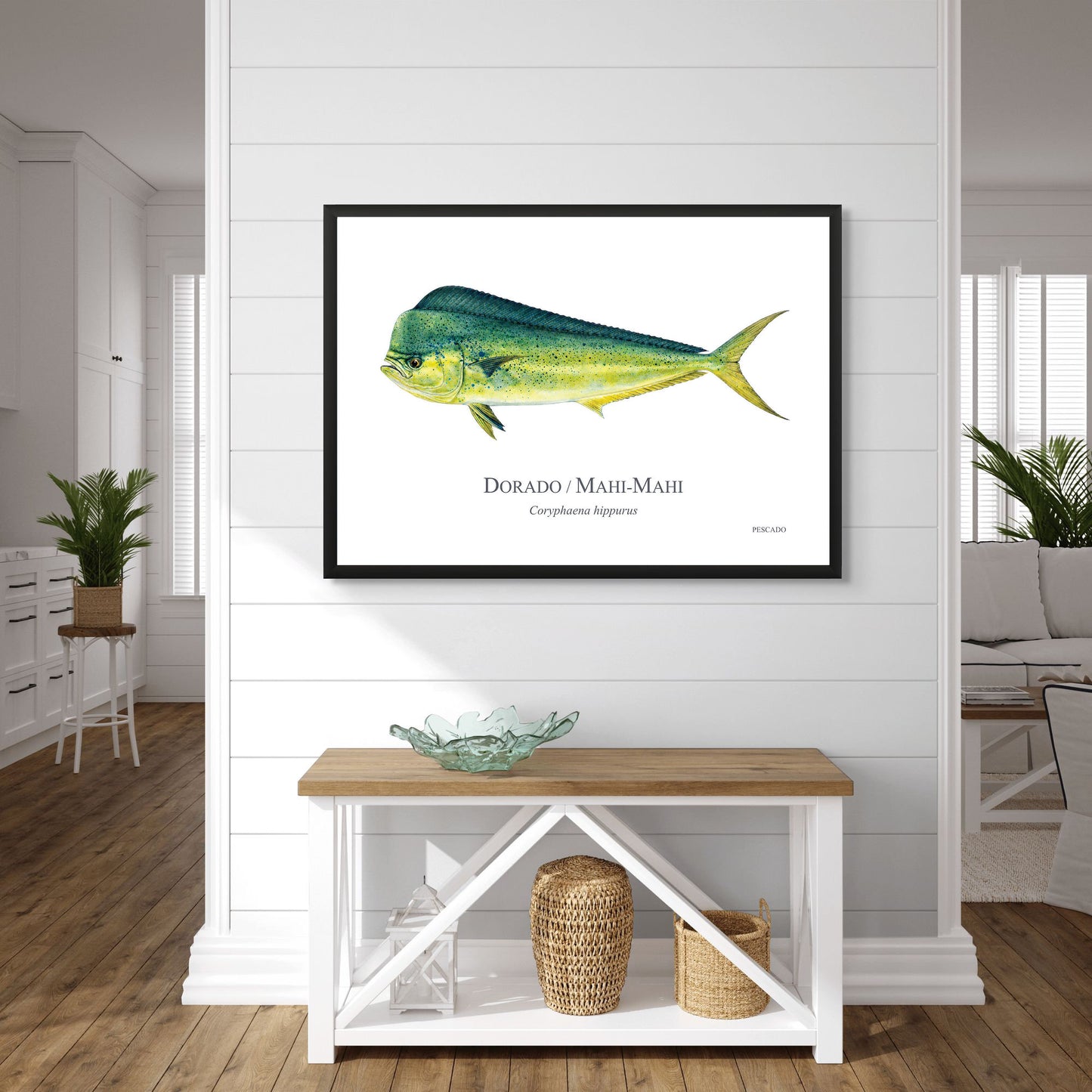 Dorado