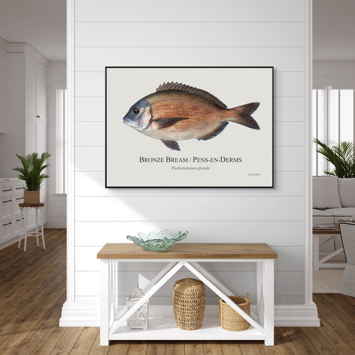 Bronze Bream