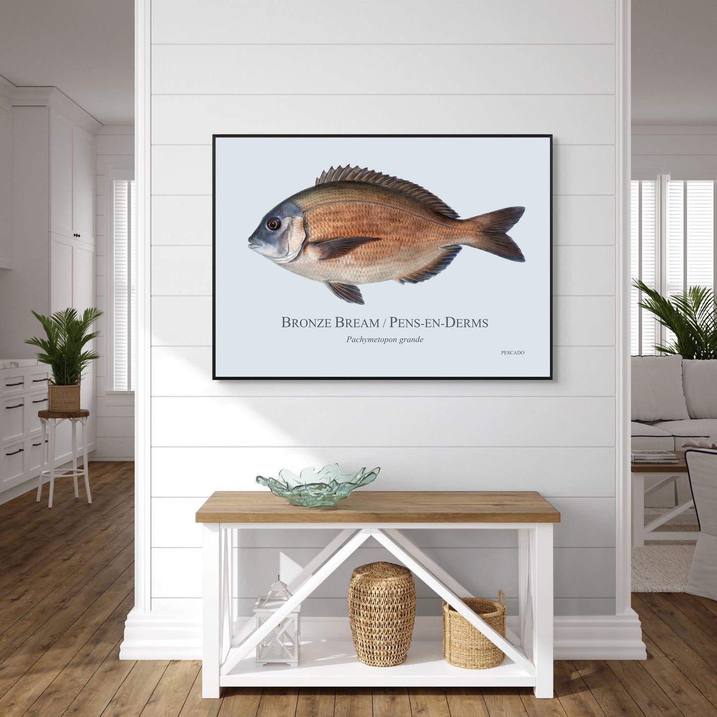 Bronze Bream